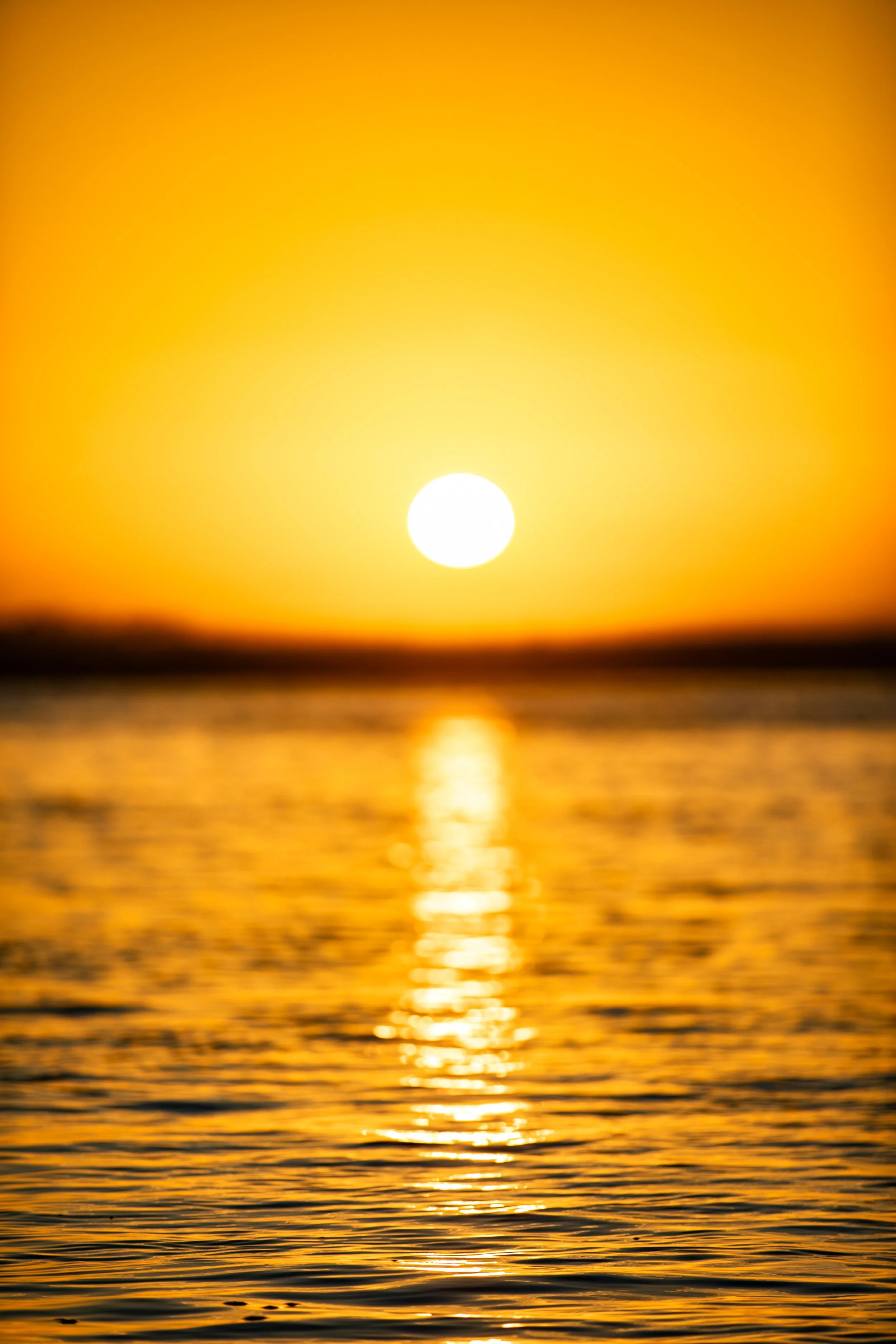 Yellow.jpg