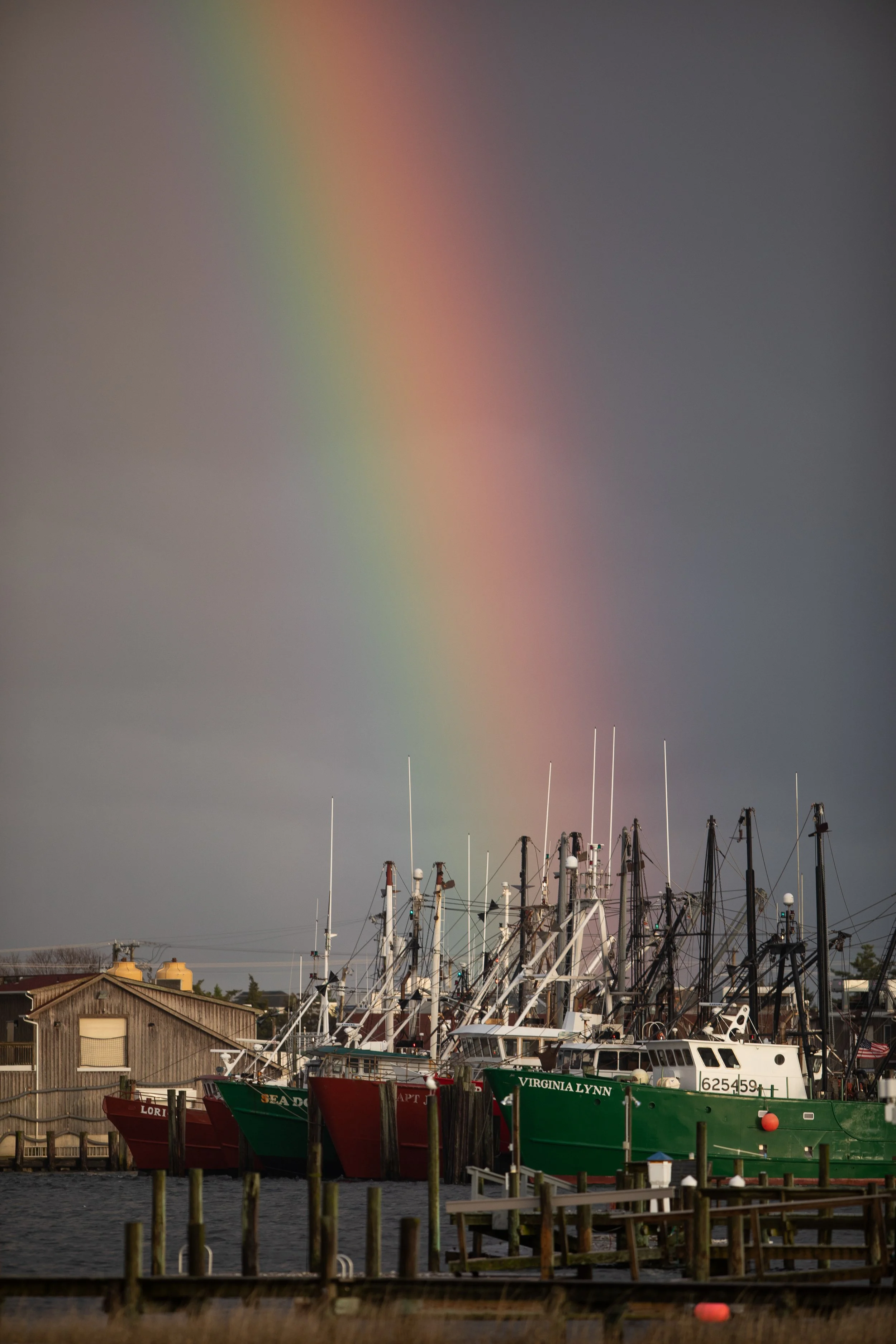 VVRainbow.jpg