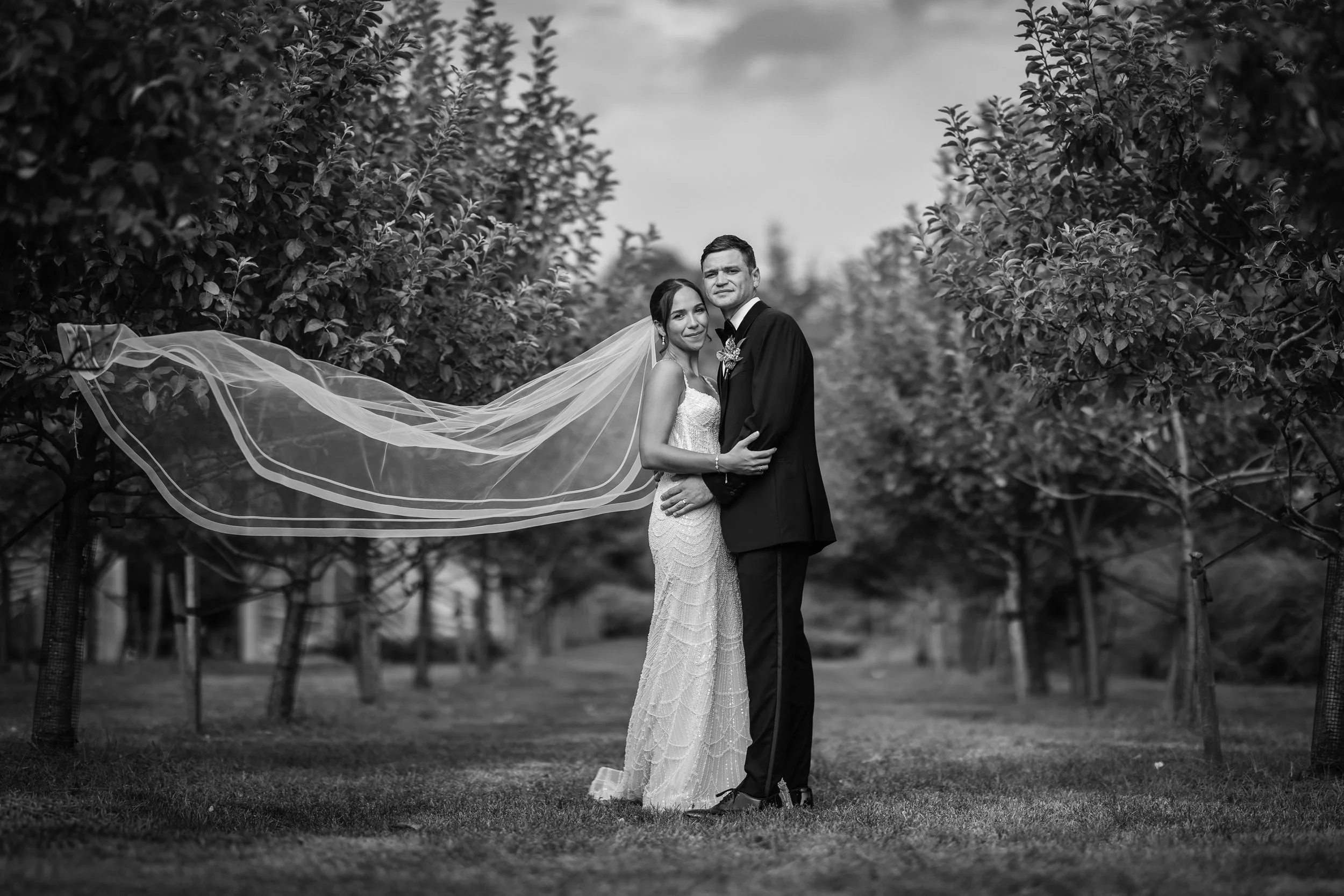 Black and white photo of a newlywed couple standing close together in an orchard, with trees on either side. The bride wears a long, lace wedding dress and a veil flowing behind her, while the groom wears a dark suit. They are embracing, facing the c