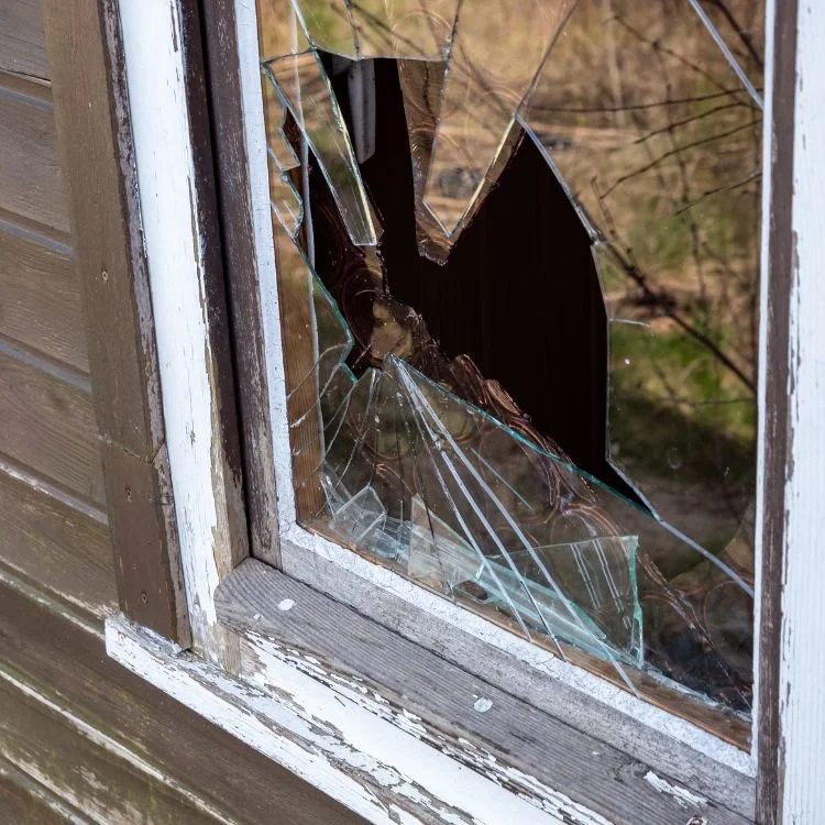 Untitled design (14).jpg