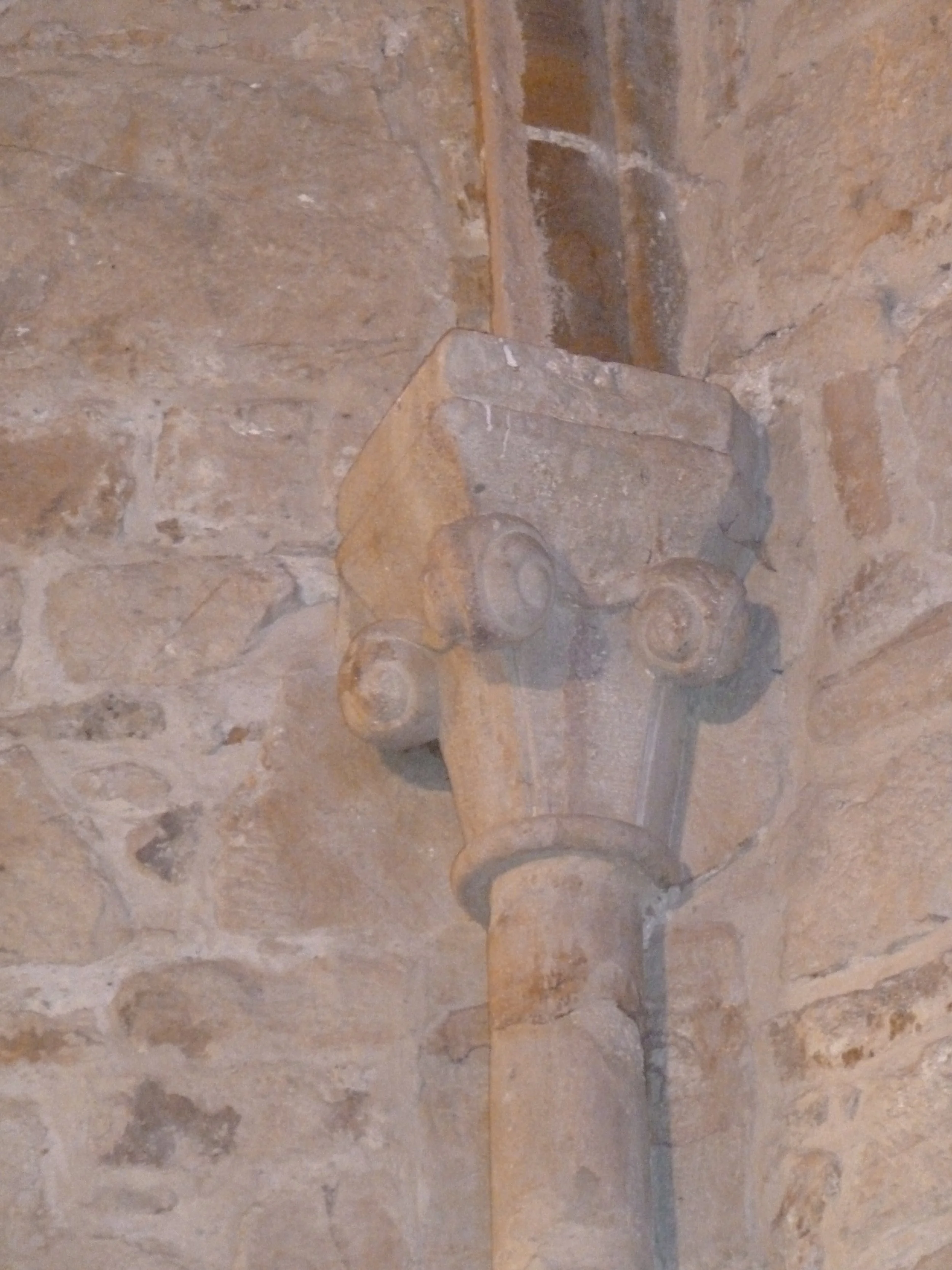 Arancou 6mars18 006.JPG