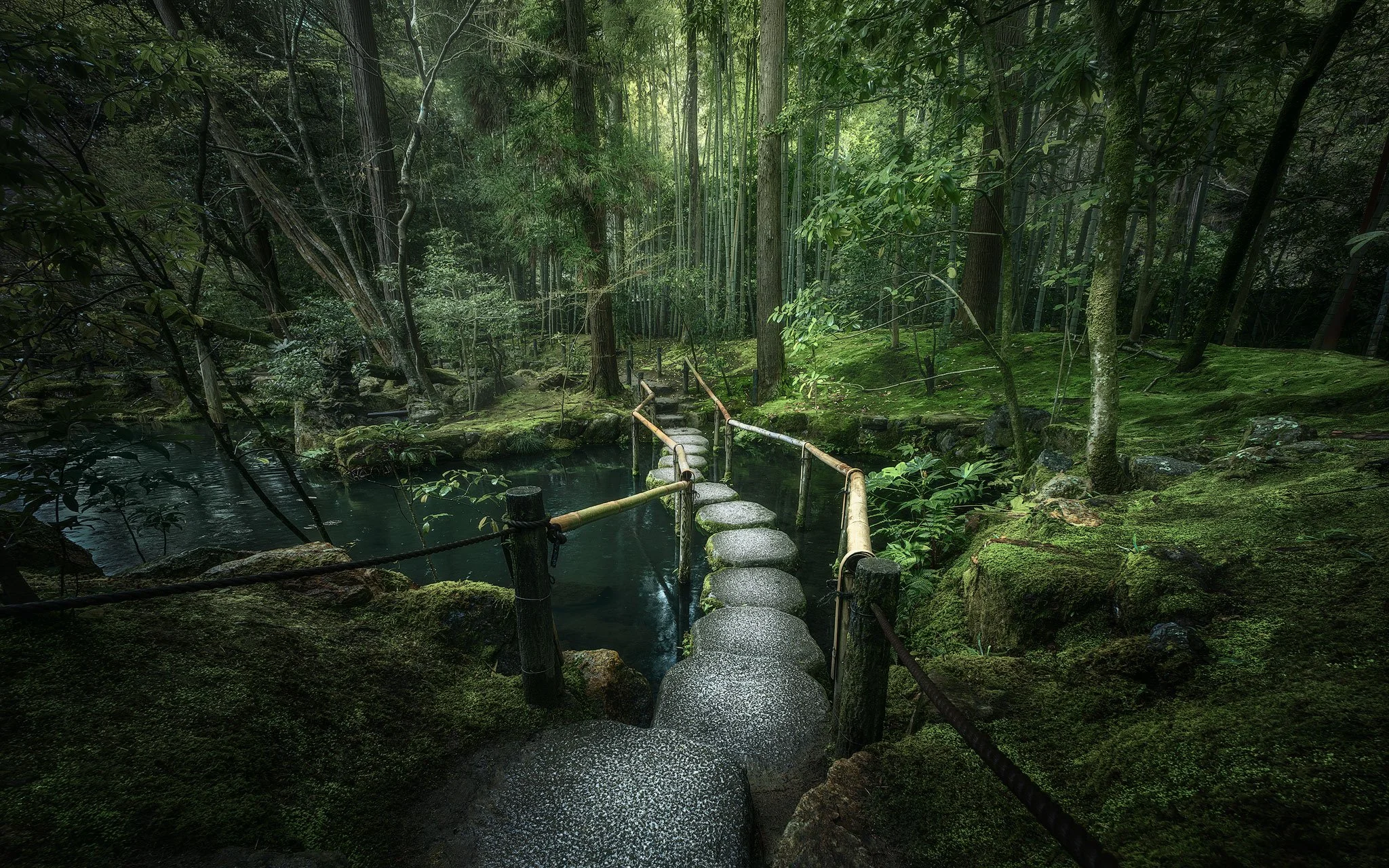 Path to Forest Calm