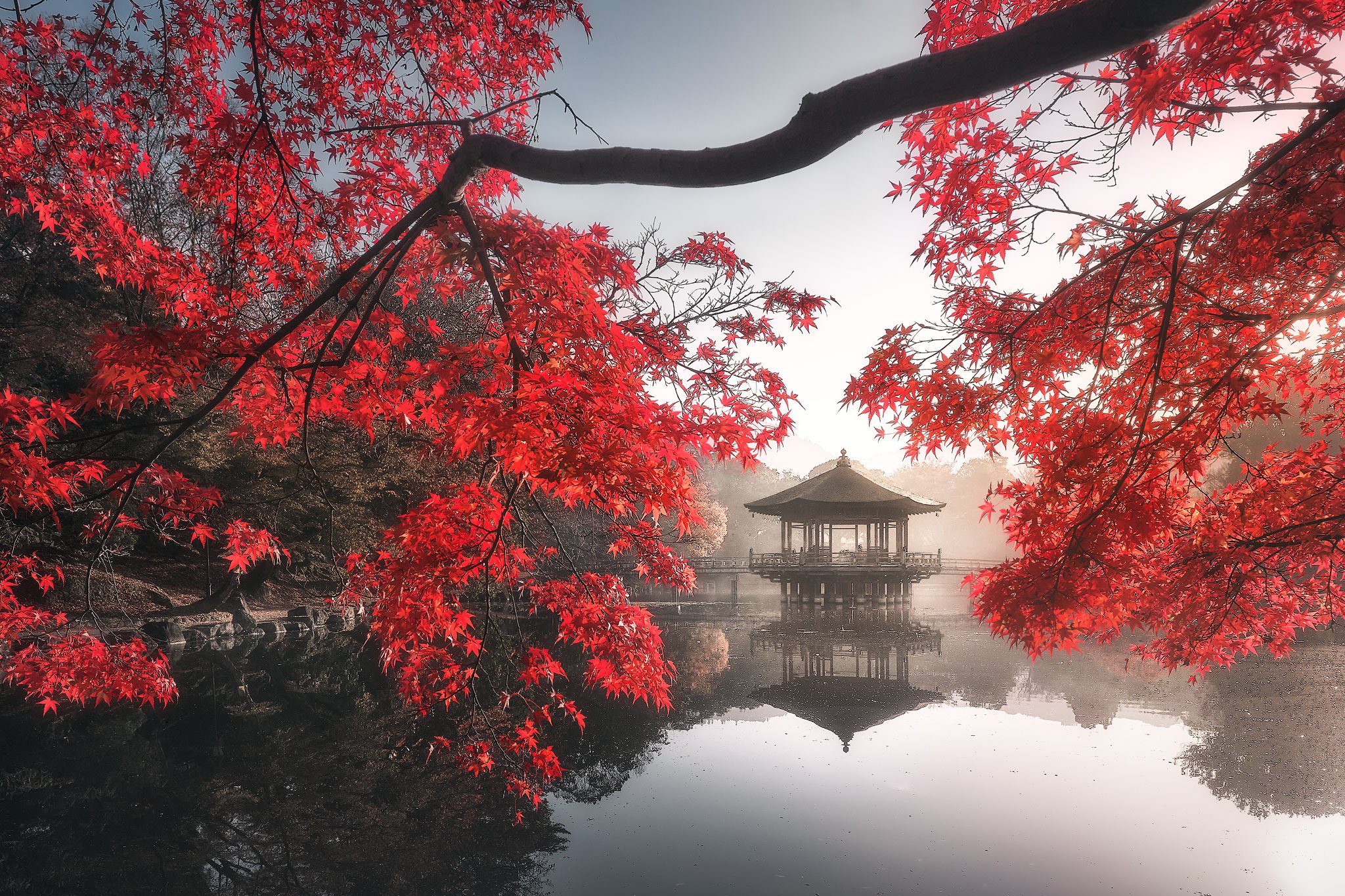 Longing for Autumn