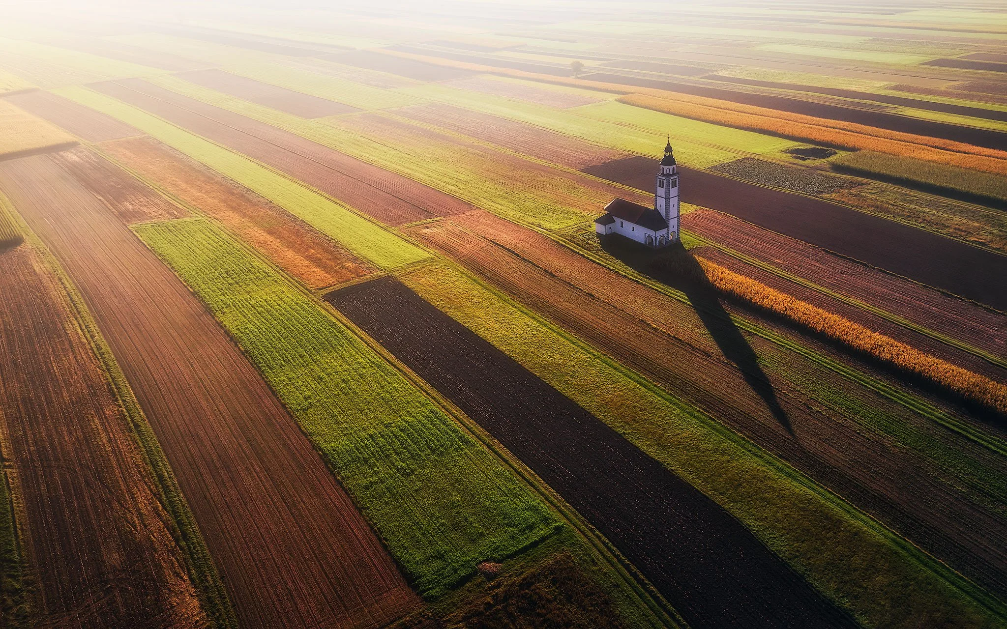 Between the Fields