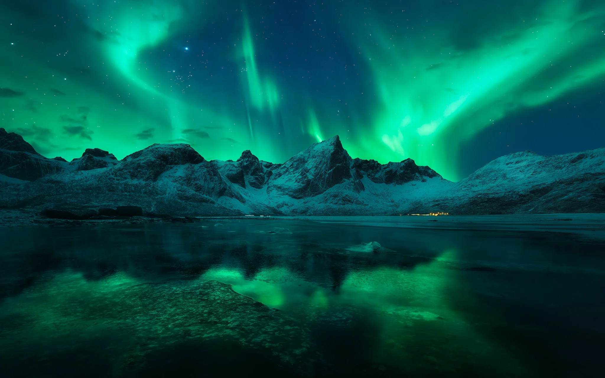 The Arctic Night