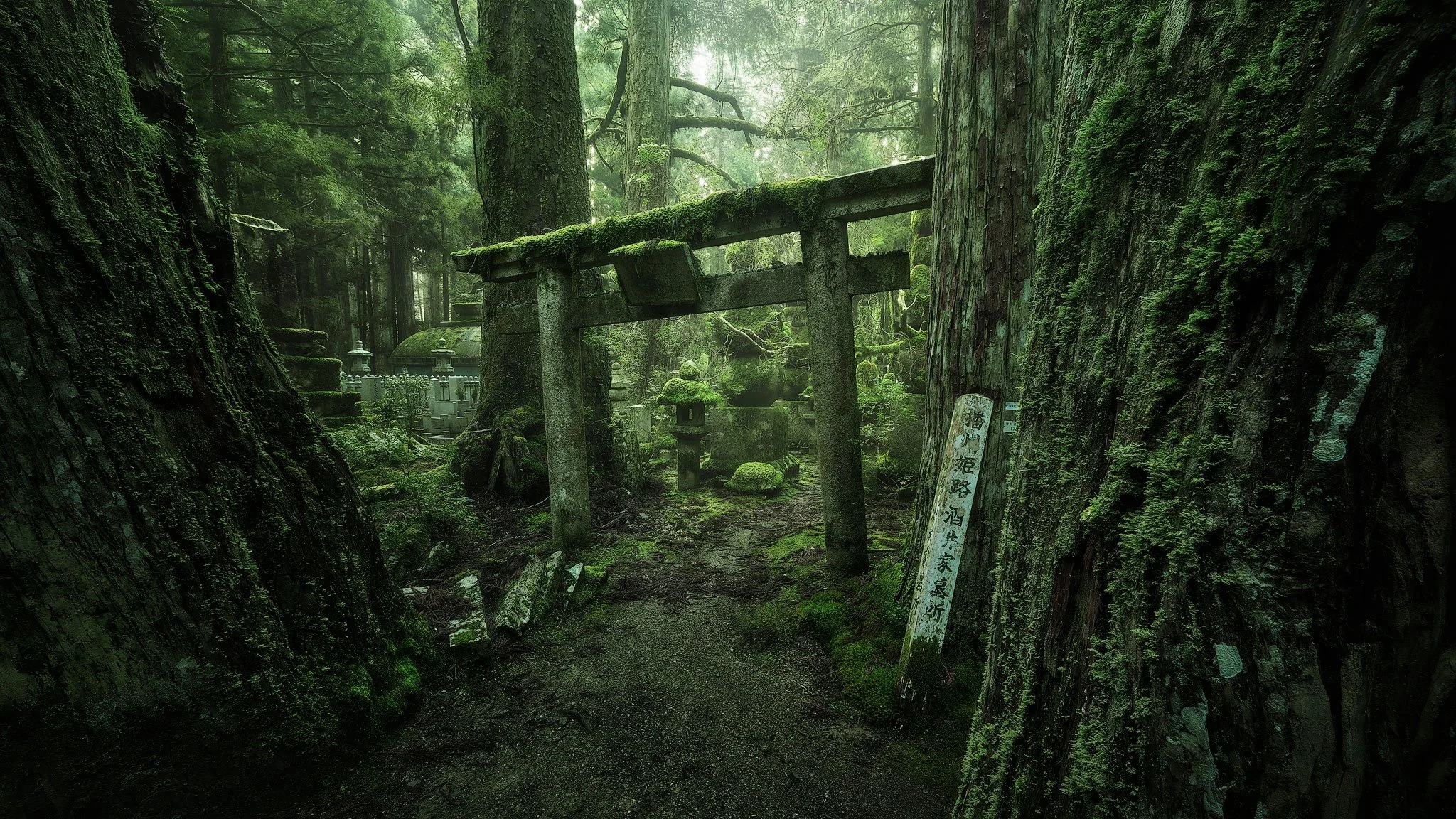 Doorway to Eternity