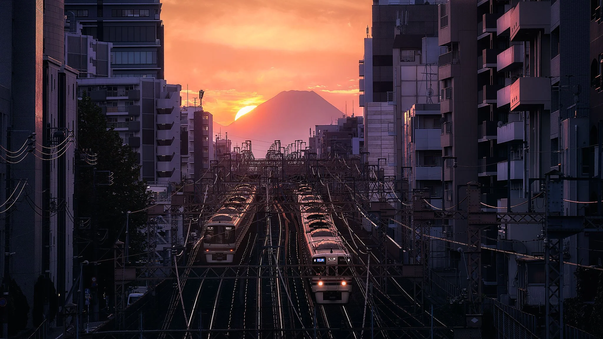 From Tokyo to Fuji