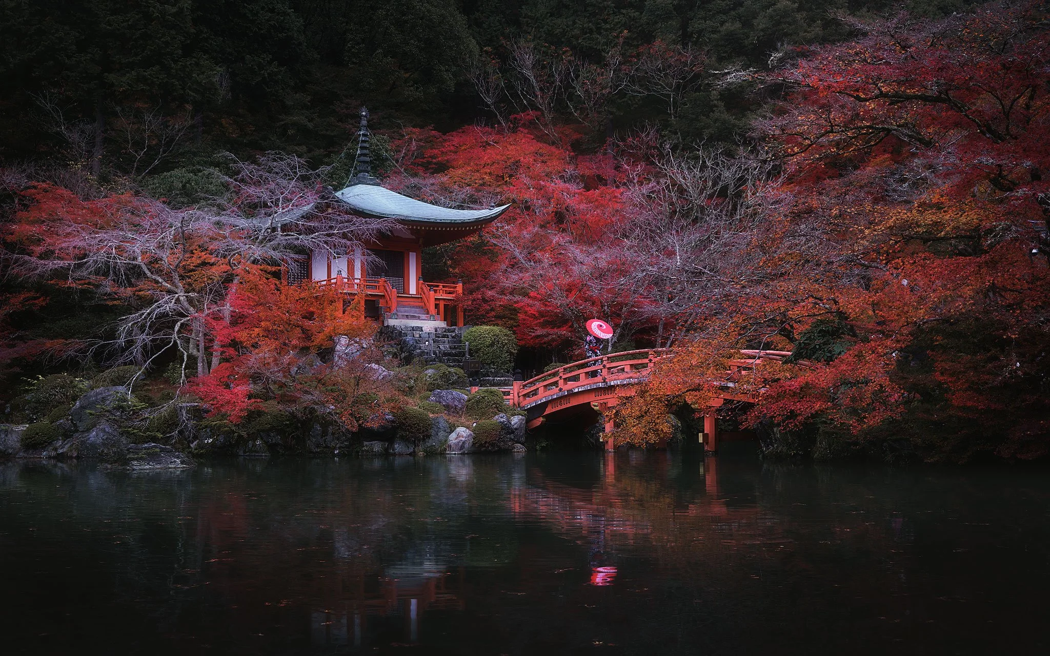 Vibrant and Dark Momiji