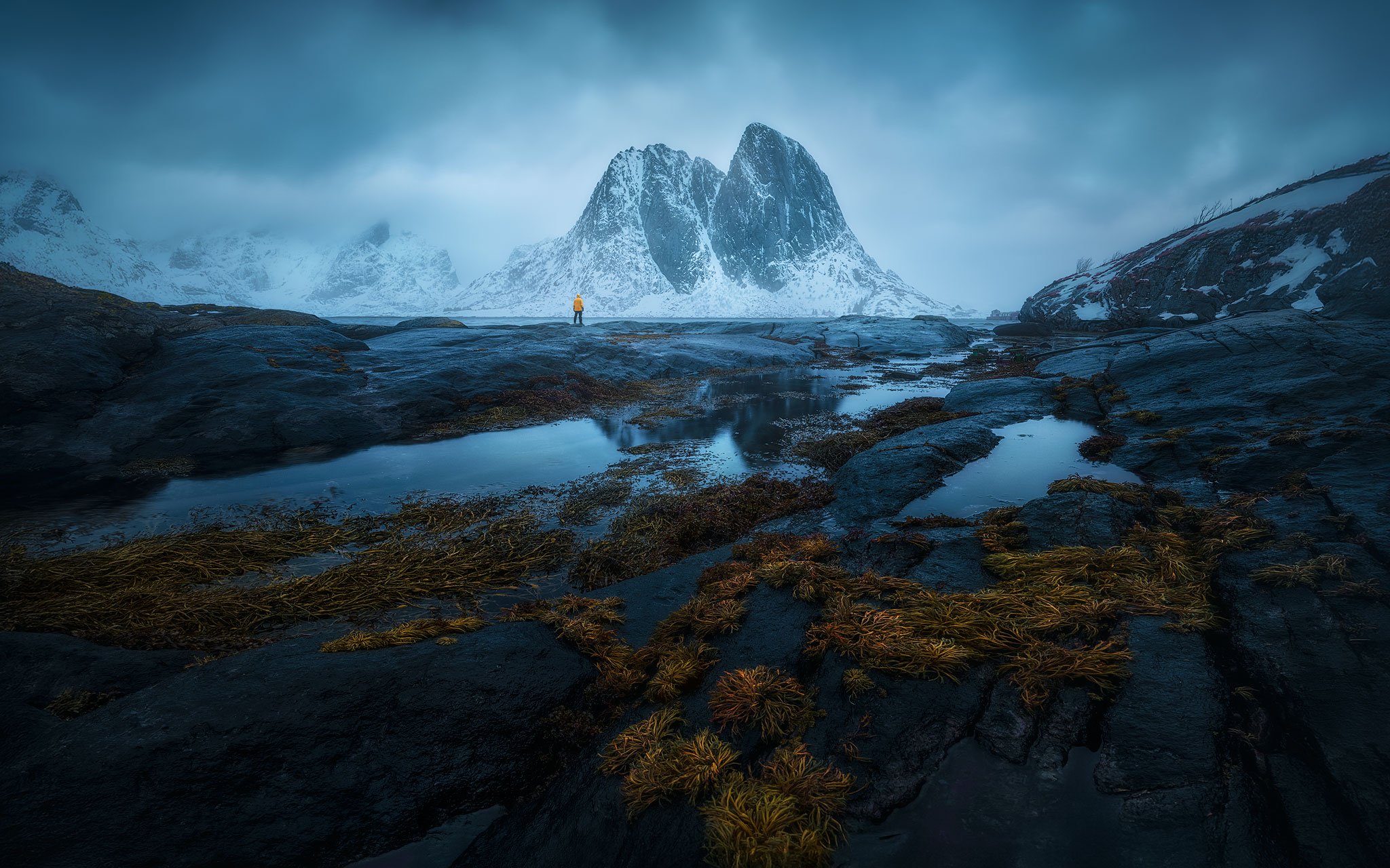 Black Shore