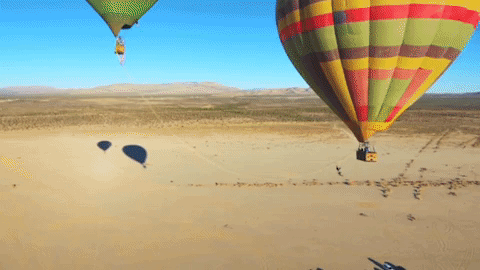 Citi Double Cash Social - Rope Swing Vid.gif