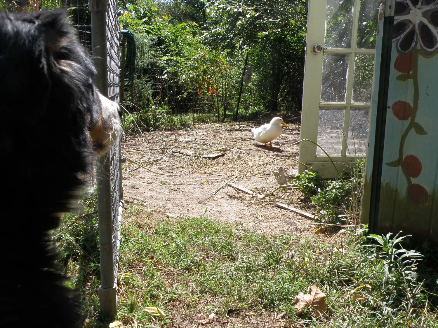 The Light Center — Retreat Center & Sanctuary