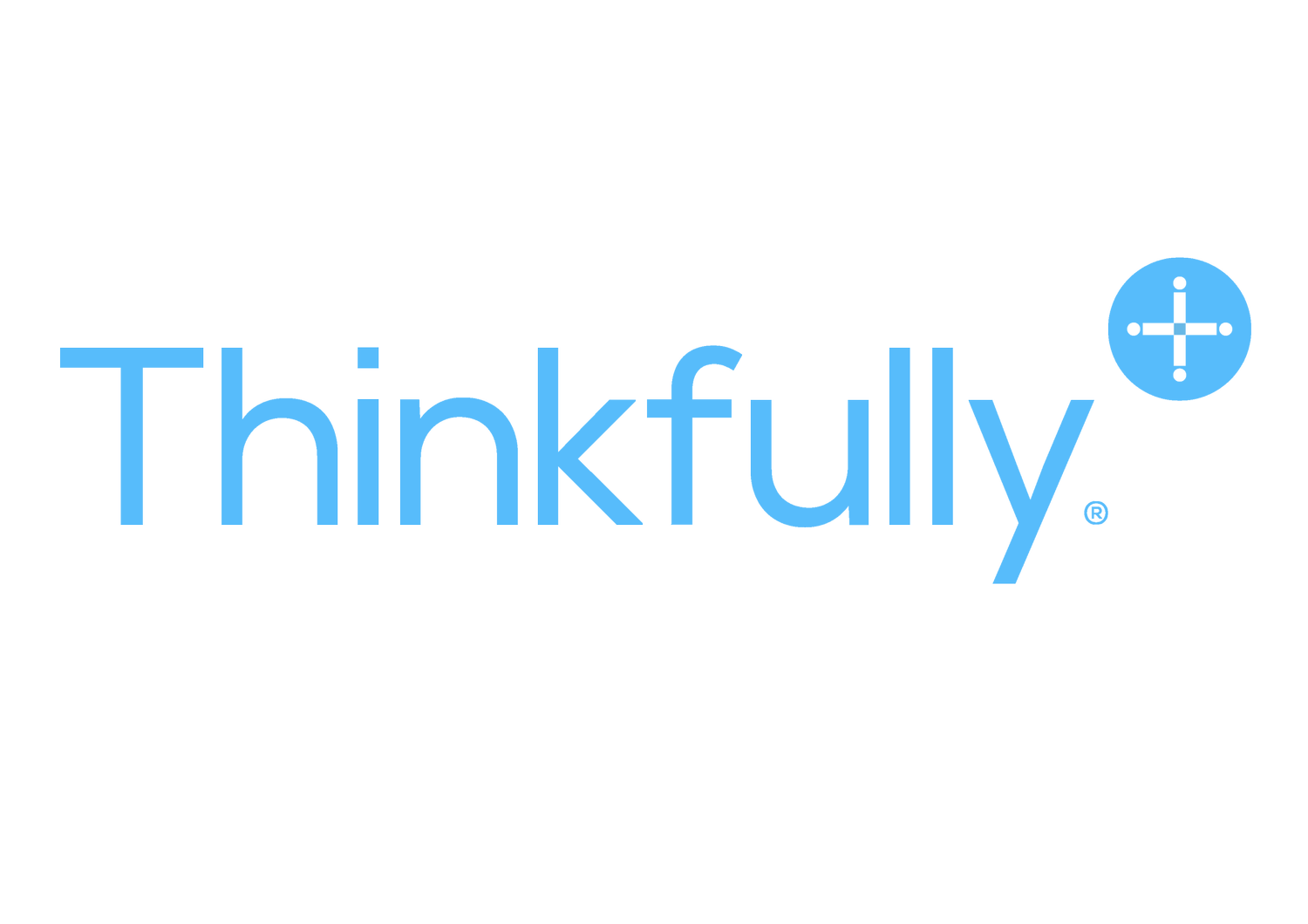 Thinkfully for the Sensemakers
