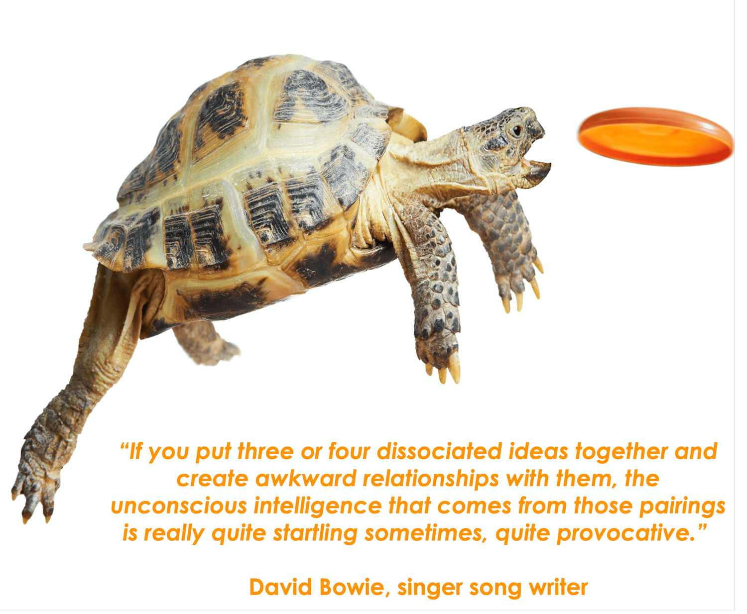 Personal brainstorming — Thinkfully for the Sensemakers