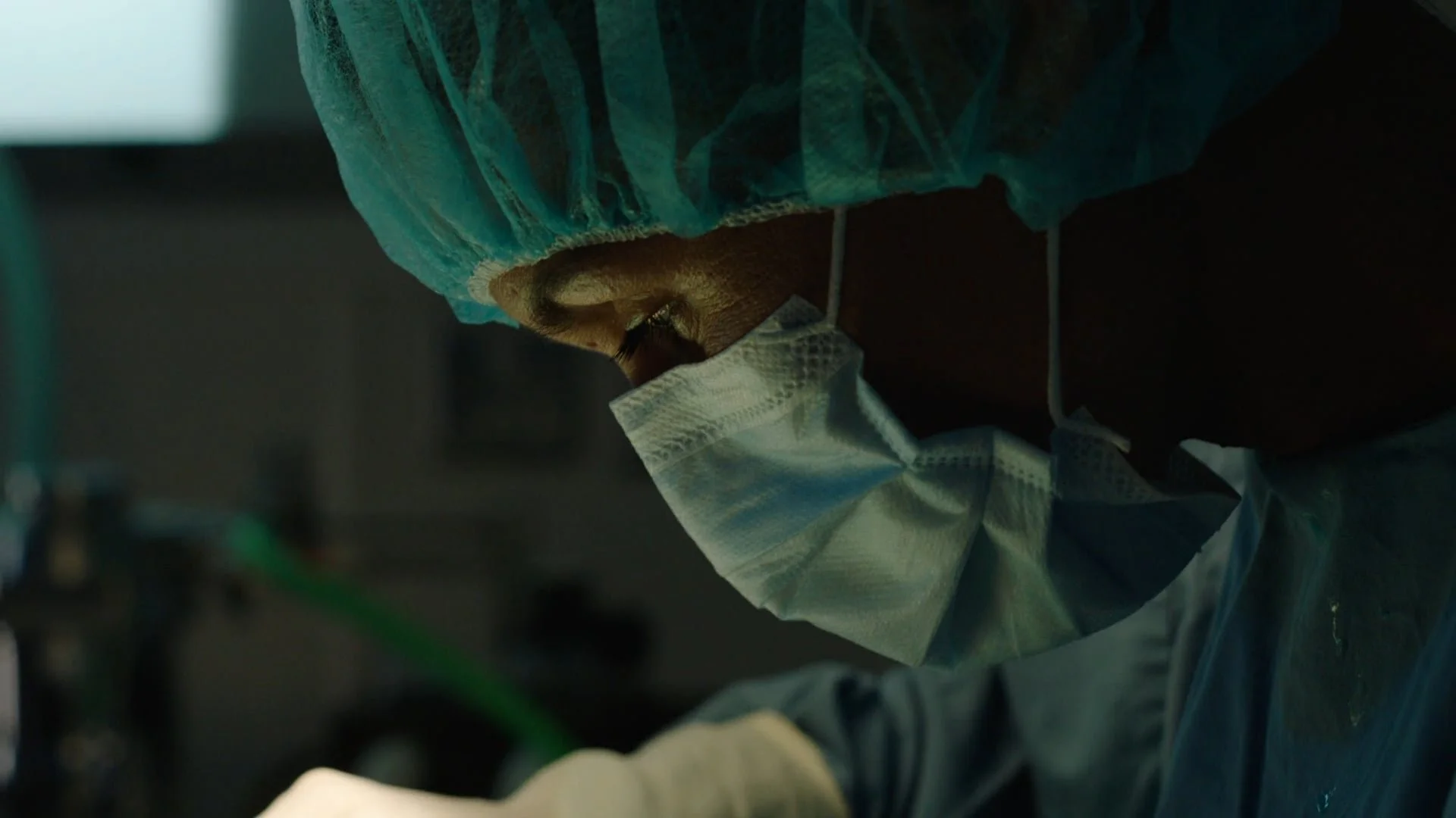 RSPCA ANIMAL EMERGENCY FUND