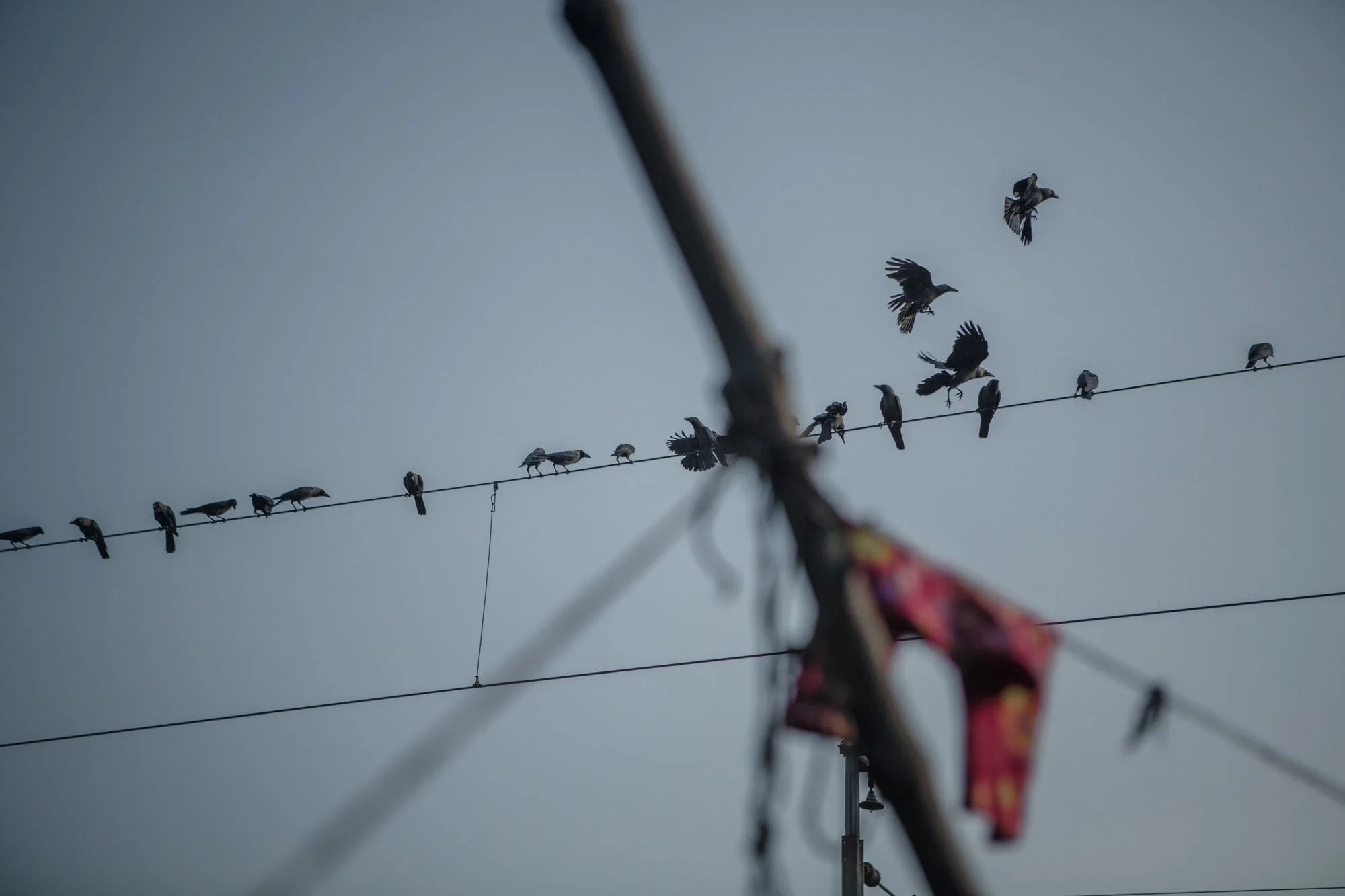 MADHU BASTI (HONEY SLUM)