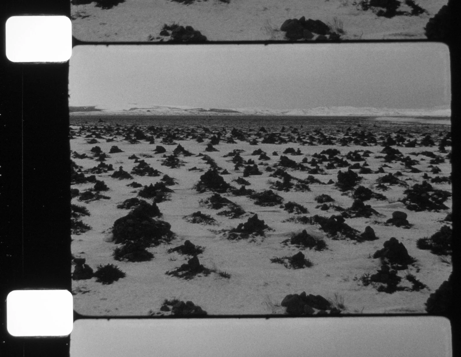 Black and white photo of a barren, snowy landscape with scattered rocks and small plants, extending to the horizon under a cloudy sky.