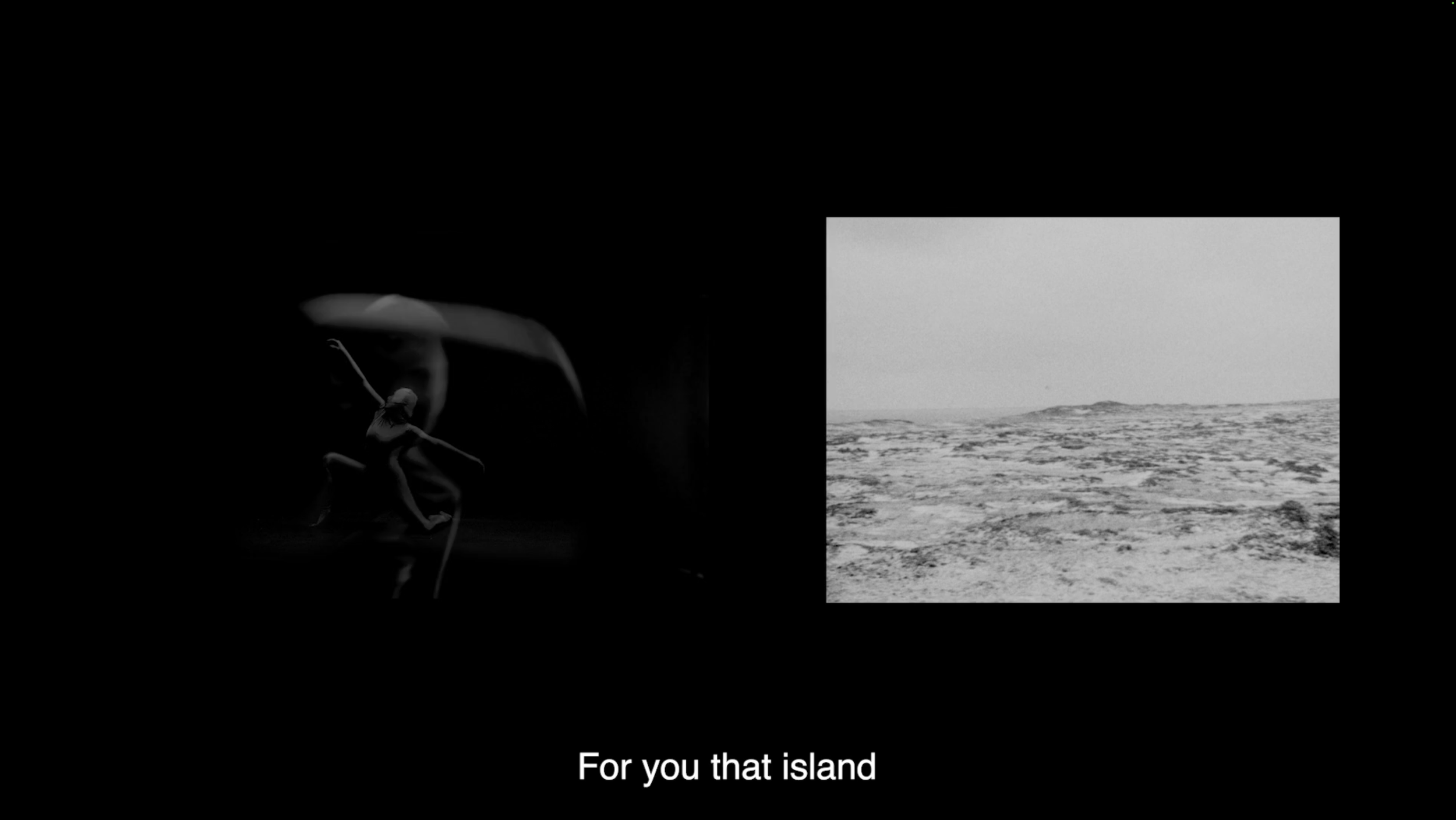 A black-and-white image featuring a close-up of an insect on the left and a barren landscape on the right with the caption "For you that island" underneath.