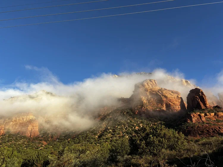 IMG_2590+(1) (1).webp