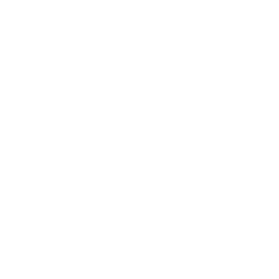 INCIDENTE.png