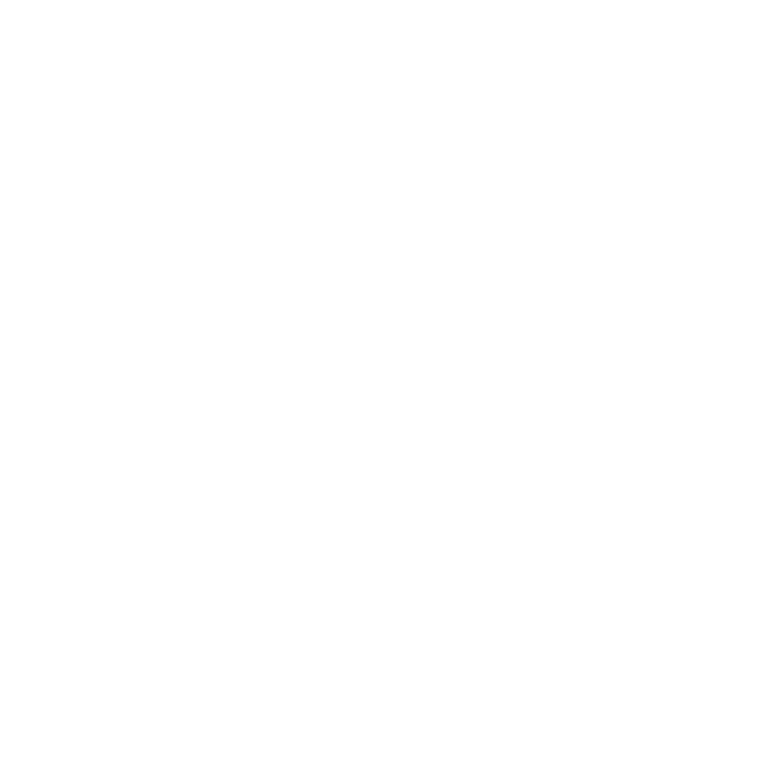 AUTO-ELETTRICA.png