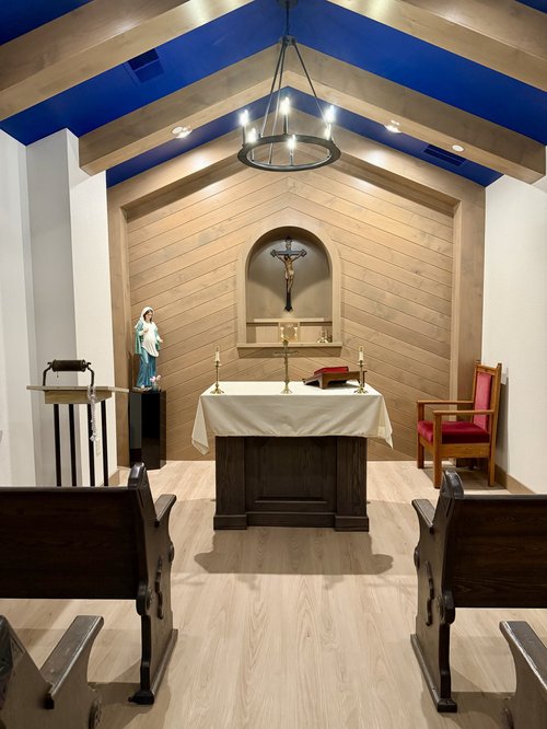 Bella Thorne visual data 5