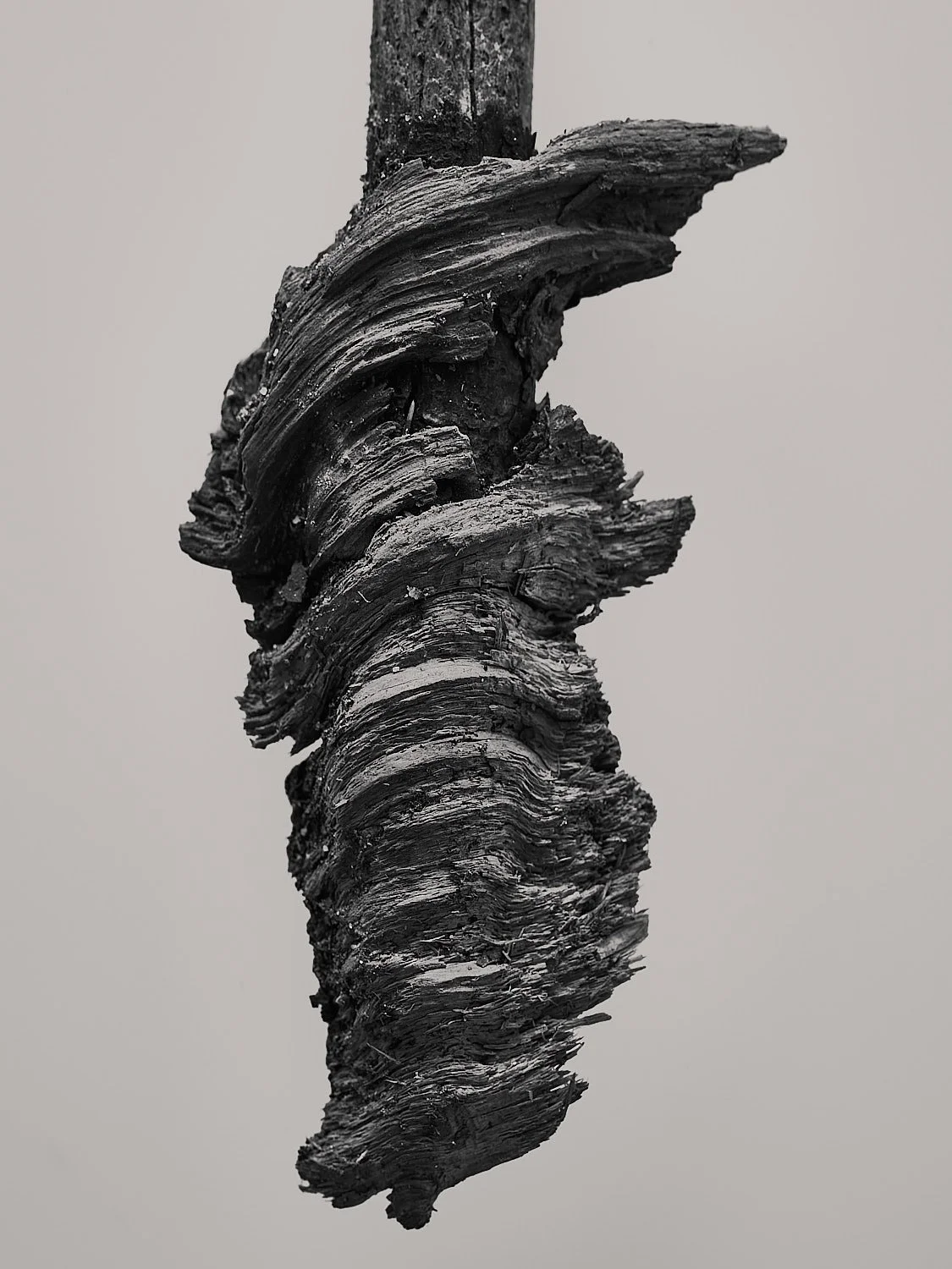 07272021_Studio_043_ver6_Ver_1.jpg