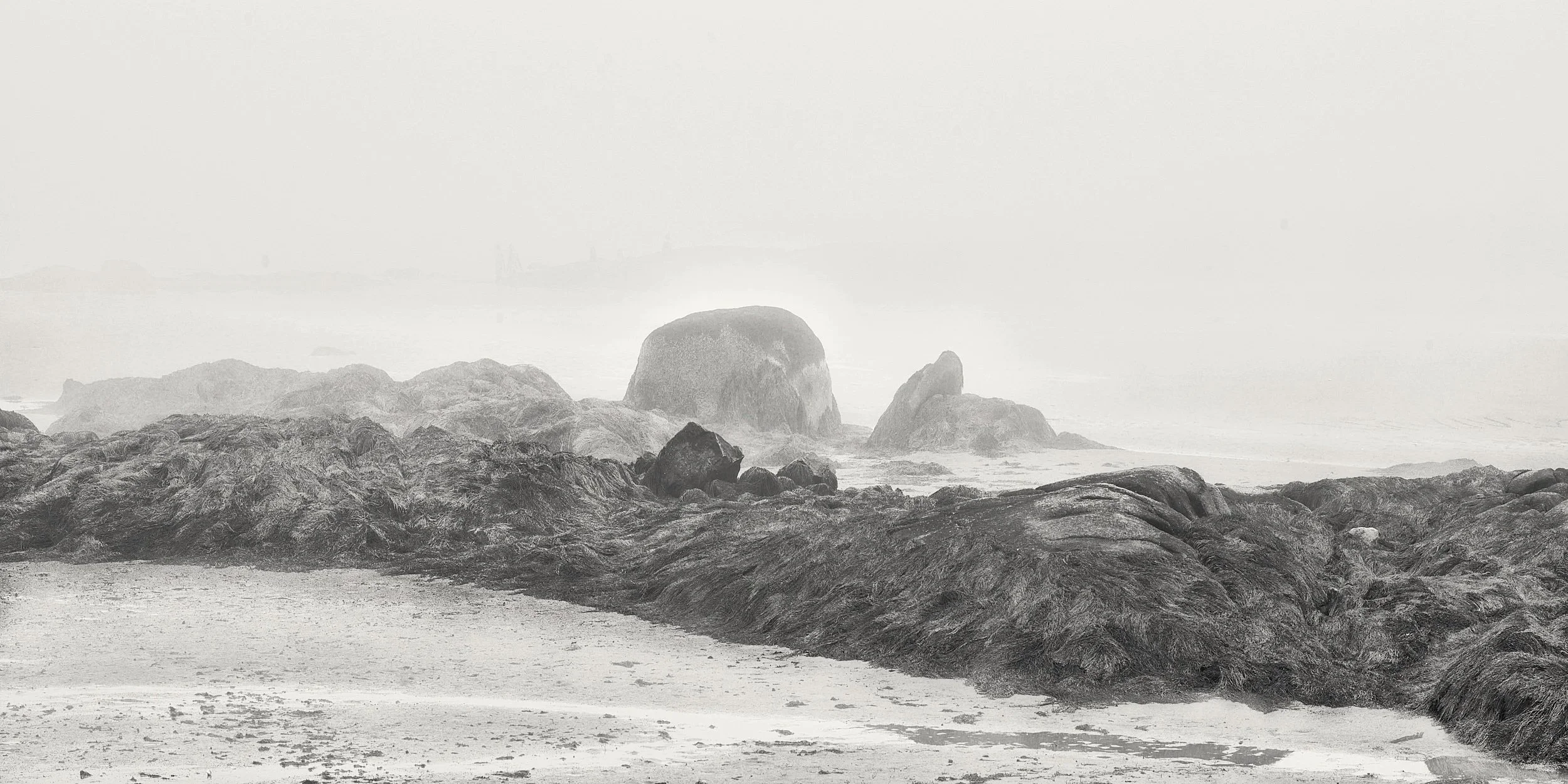 06192025_CI+fog_009+1+1.jpg