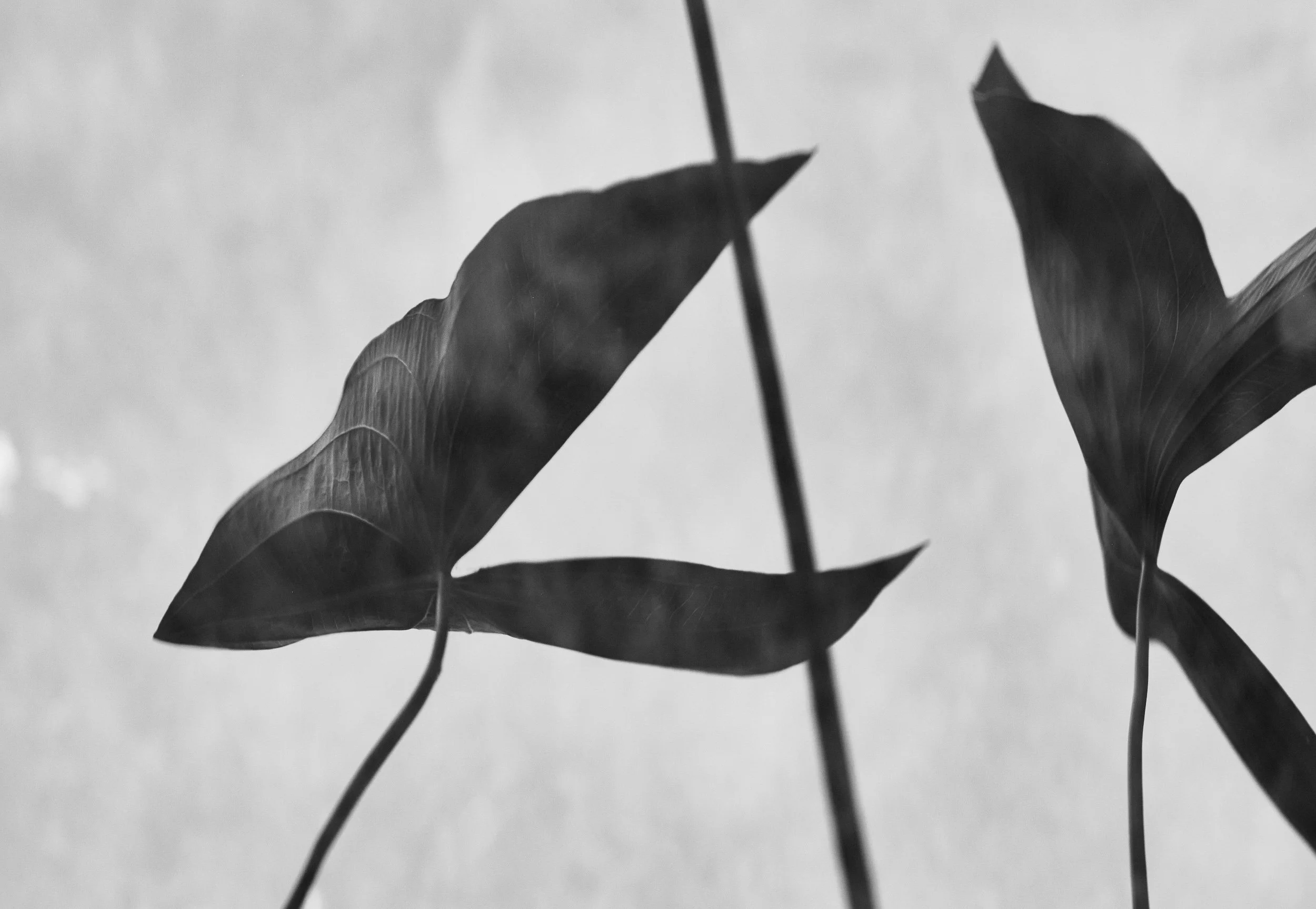09142025_097_Ver_1.jpg