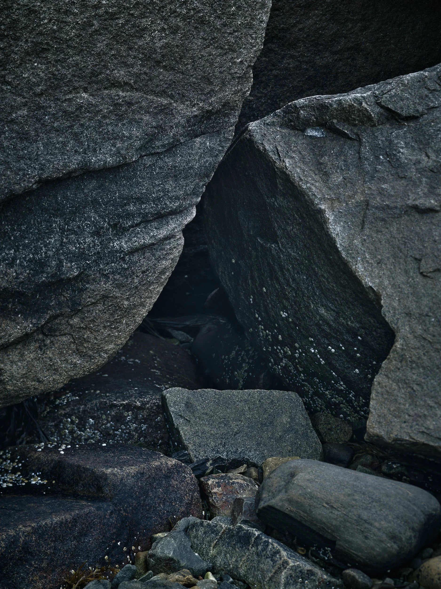 07312025_012_Ver_8.jpg