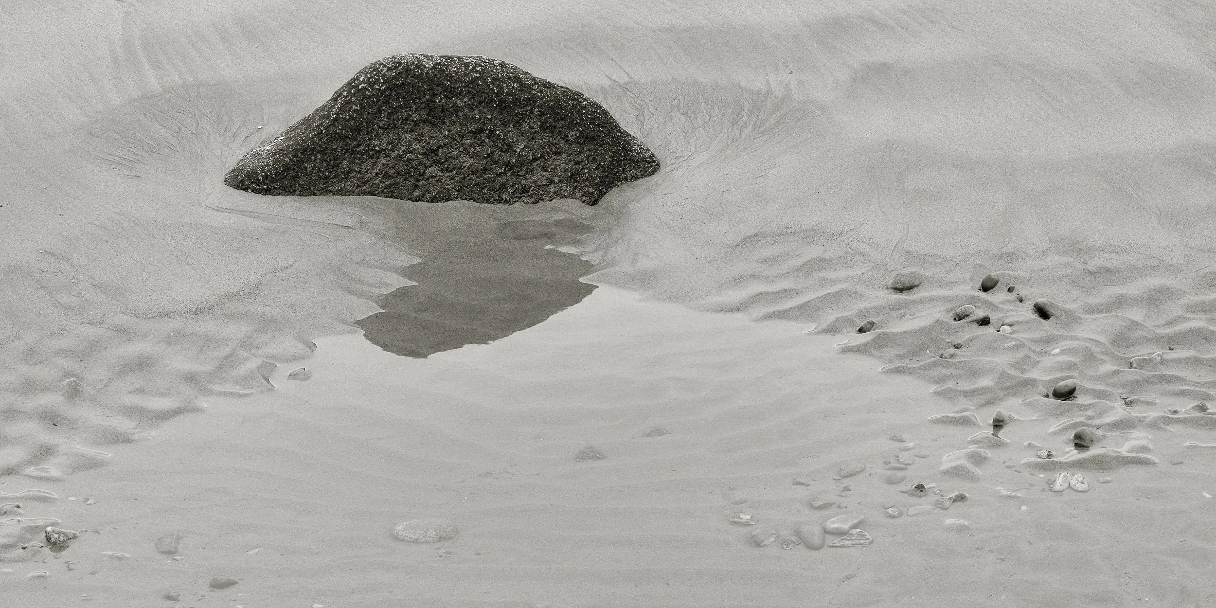 08172026_467_Ver_2.jpg
