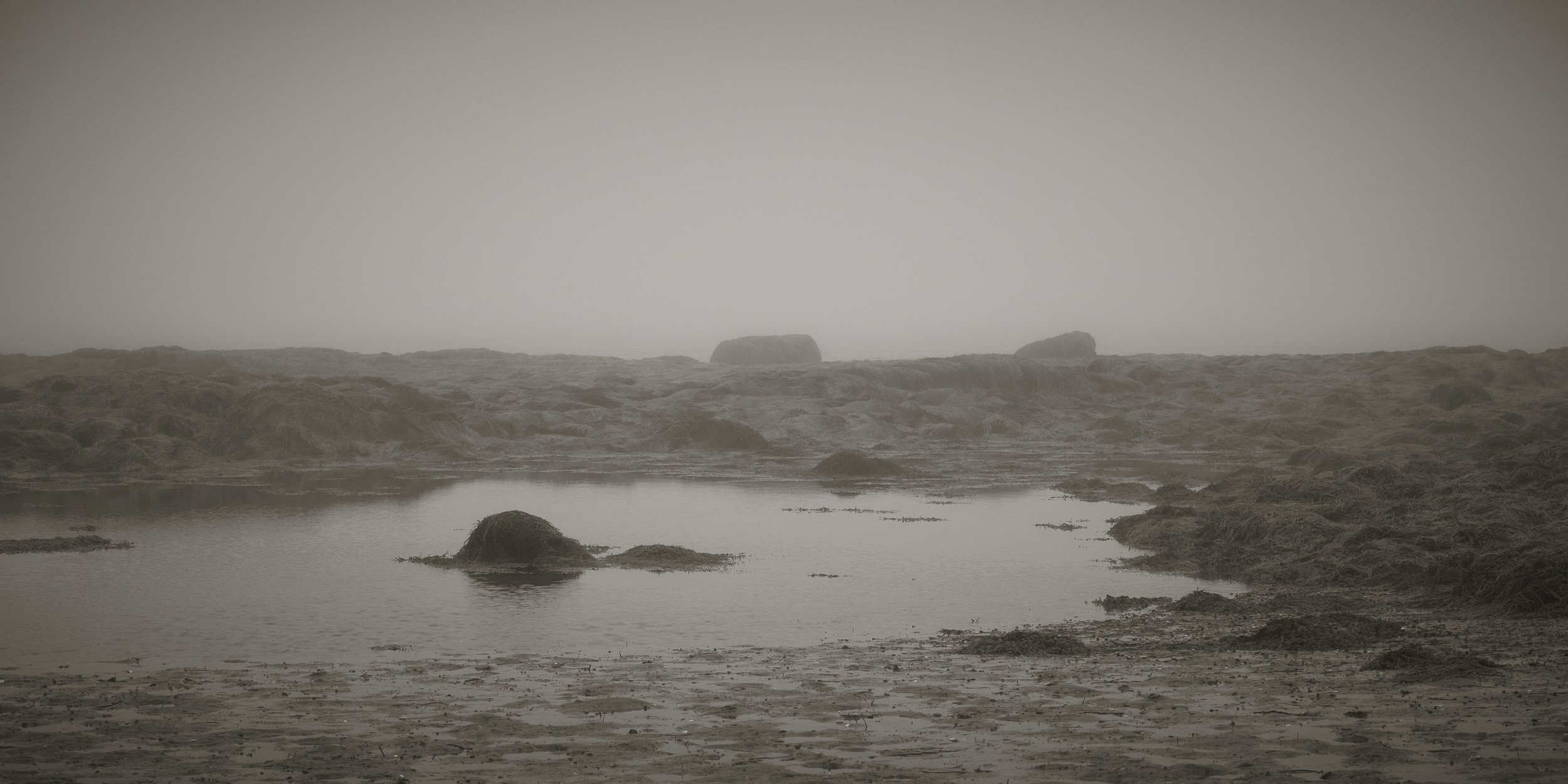 08032026_110_Ver_1.jpg