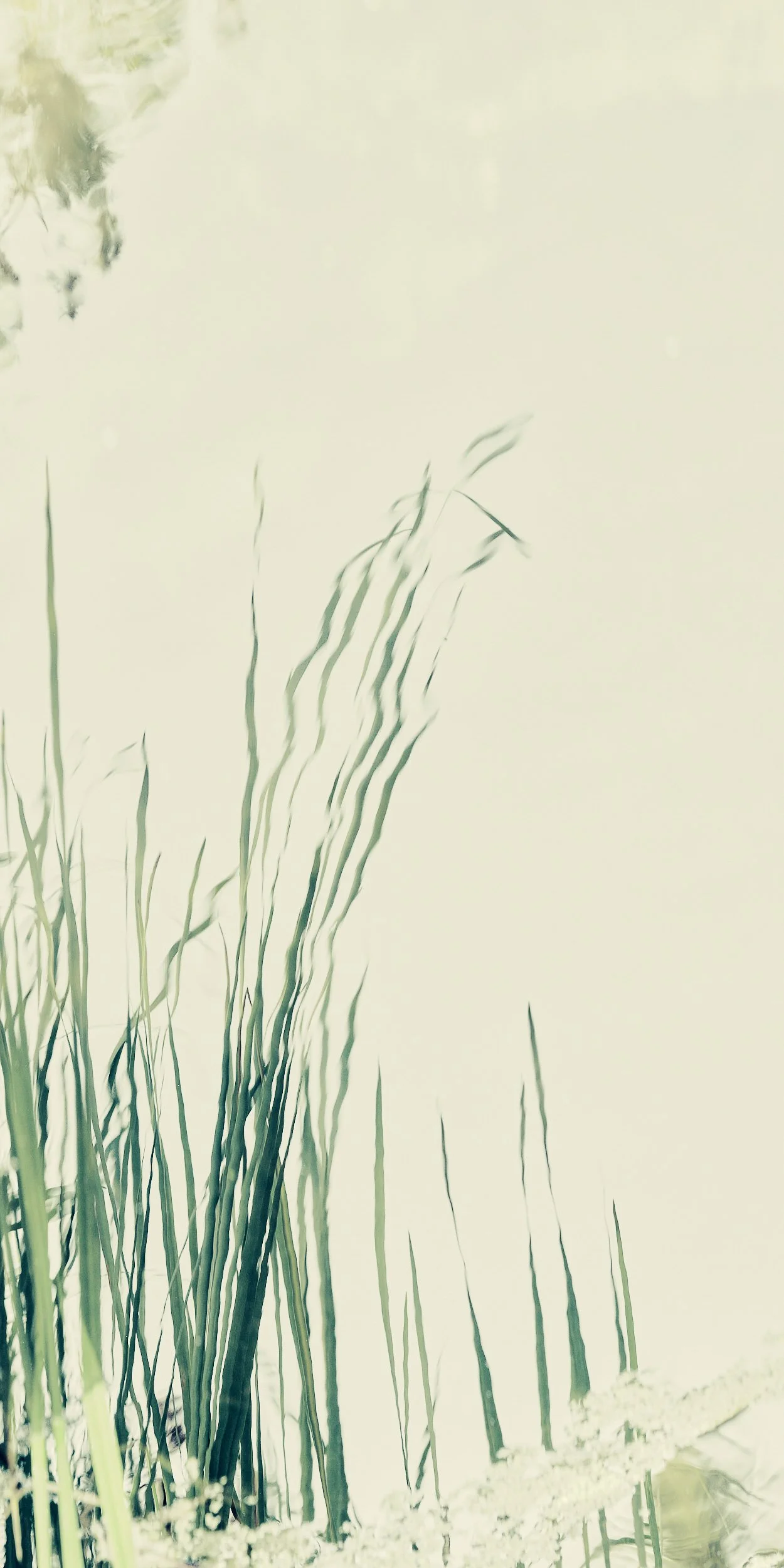 09142025_172_Ver_2.jpg