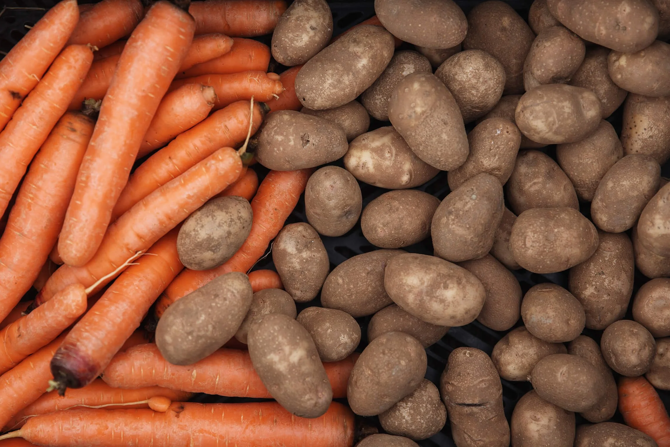 Potatoes-and-carrots.jpeg