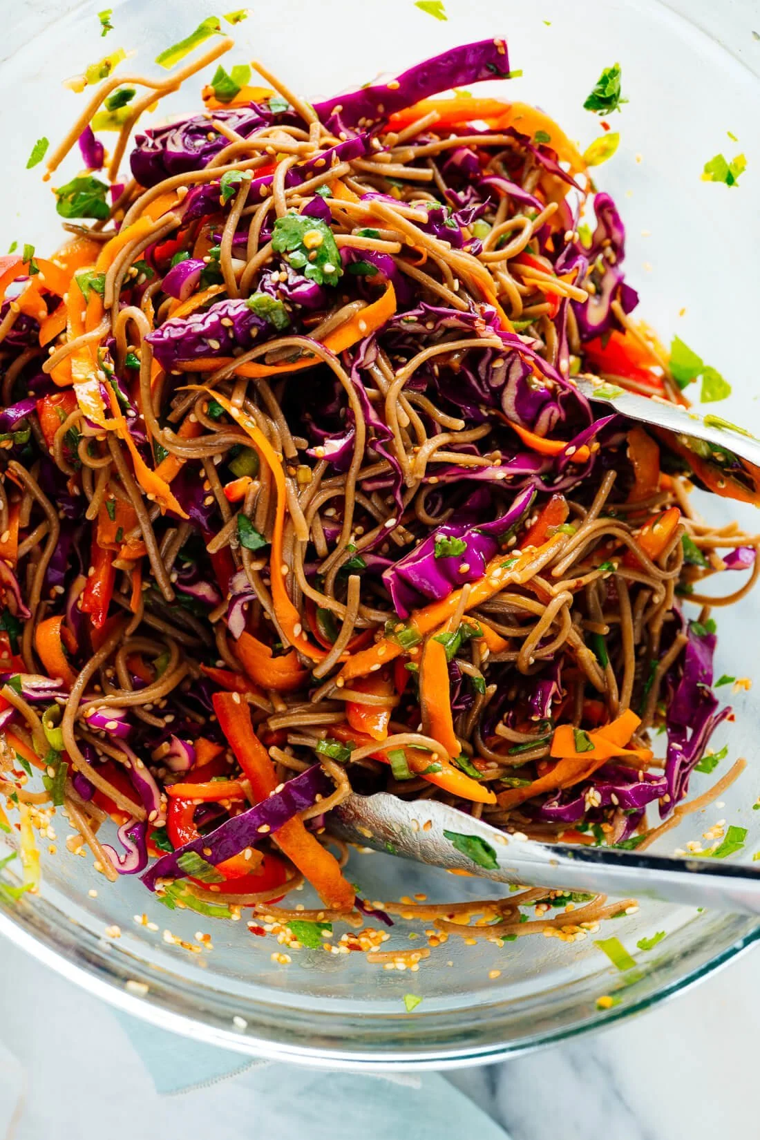 Buckwheat Soba Noodles with Cabbage and Carrots