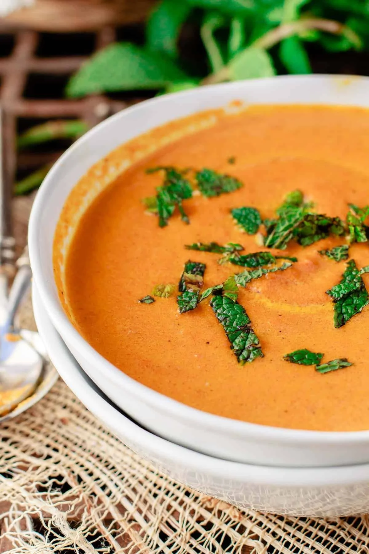 Roasted Carrot and Coconut Soup