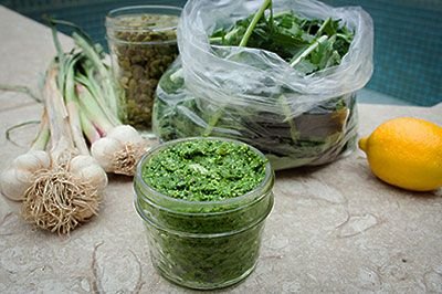 Leafy Greens Pesto