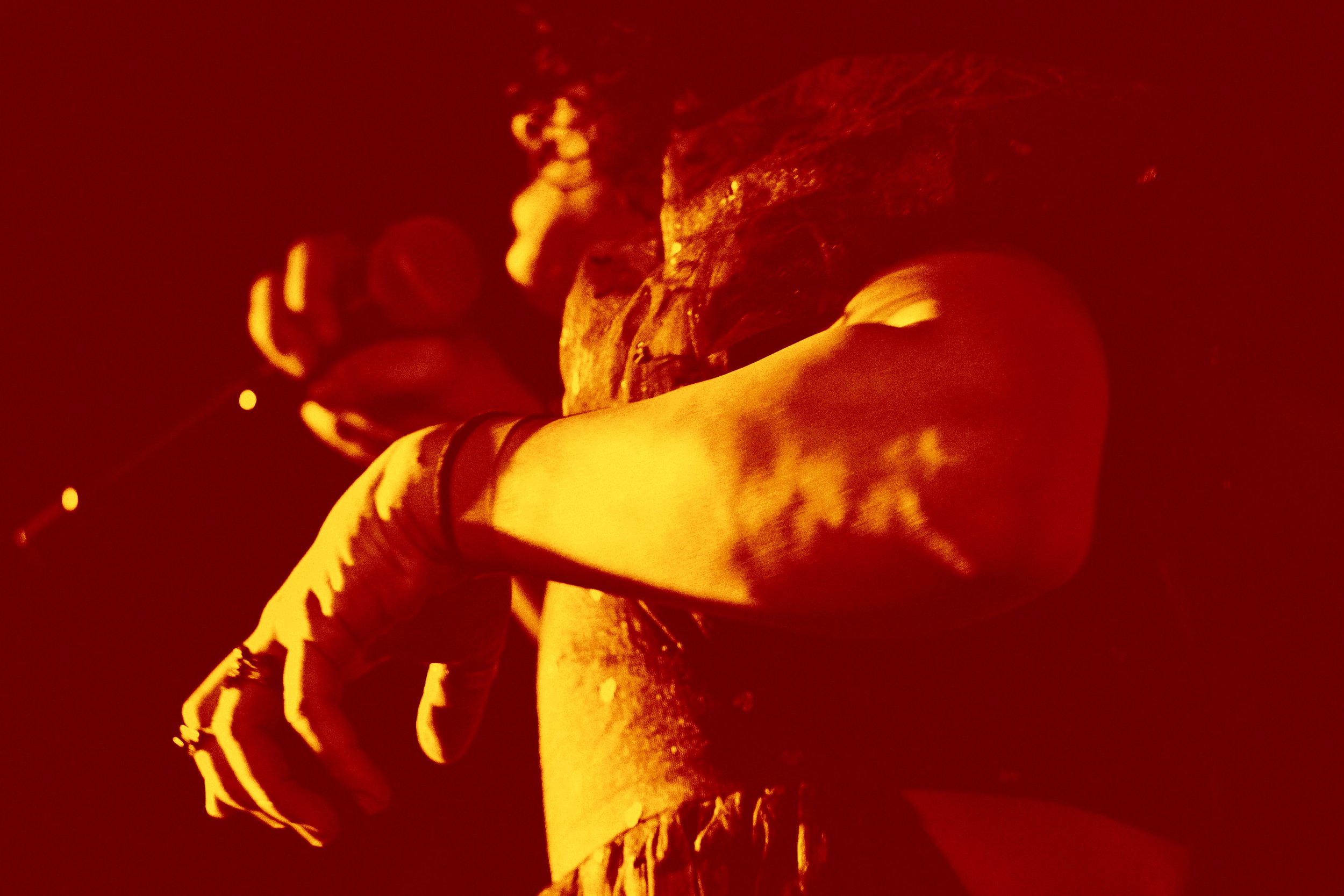 BULLHEATHER 2025- Book Club Chicago