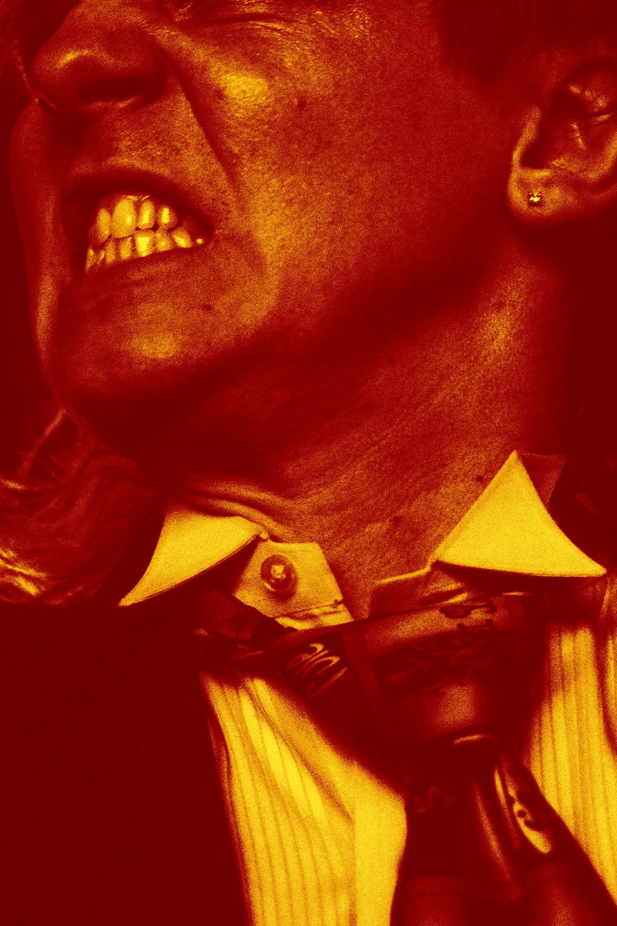 BULLHEATHER 2025- Book Club Chicago