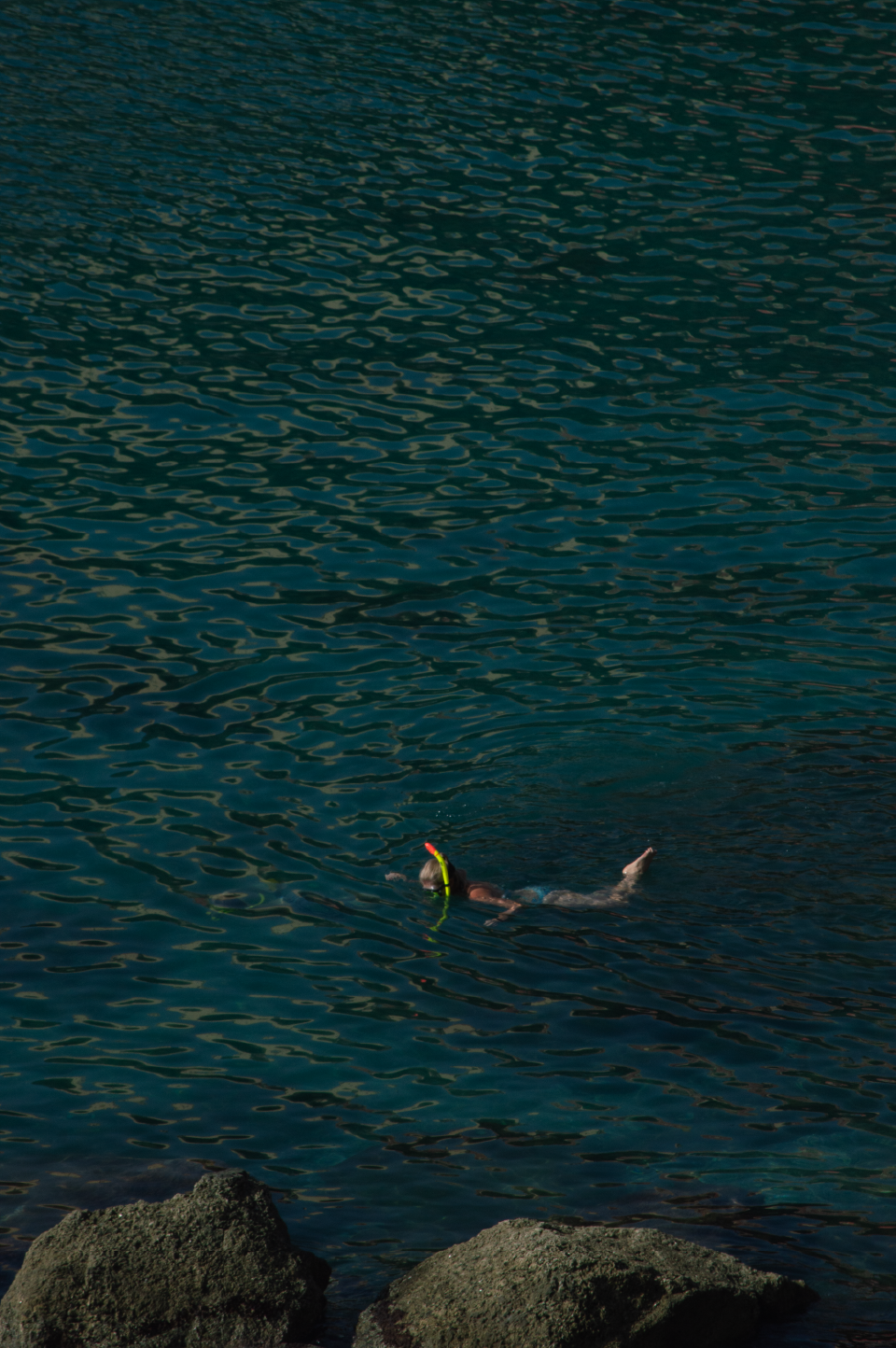 _DSC0911.png