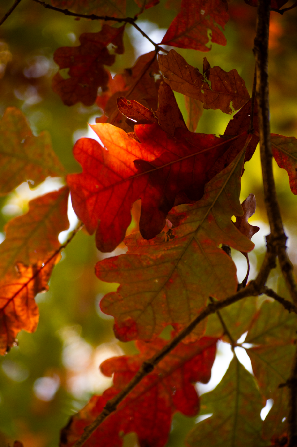 _DSC0024.png