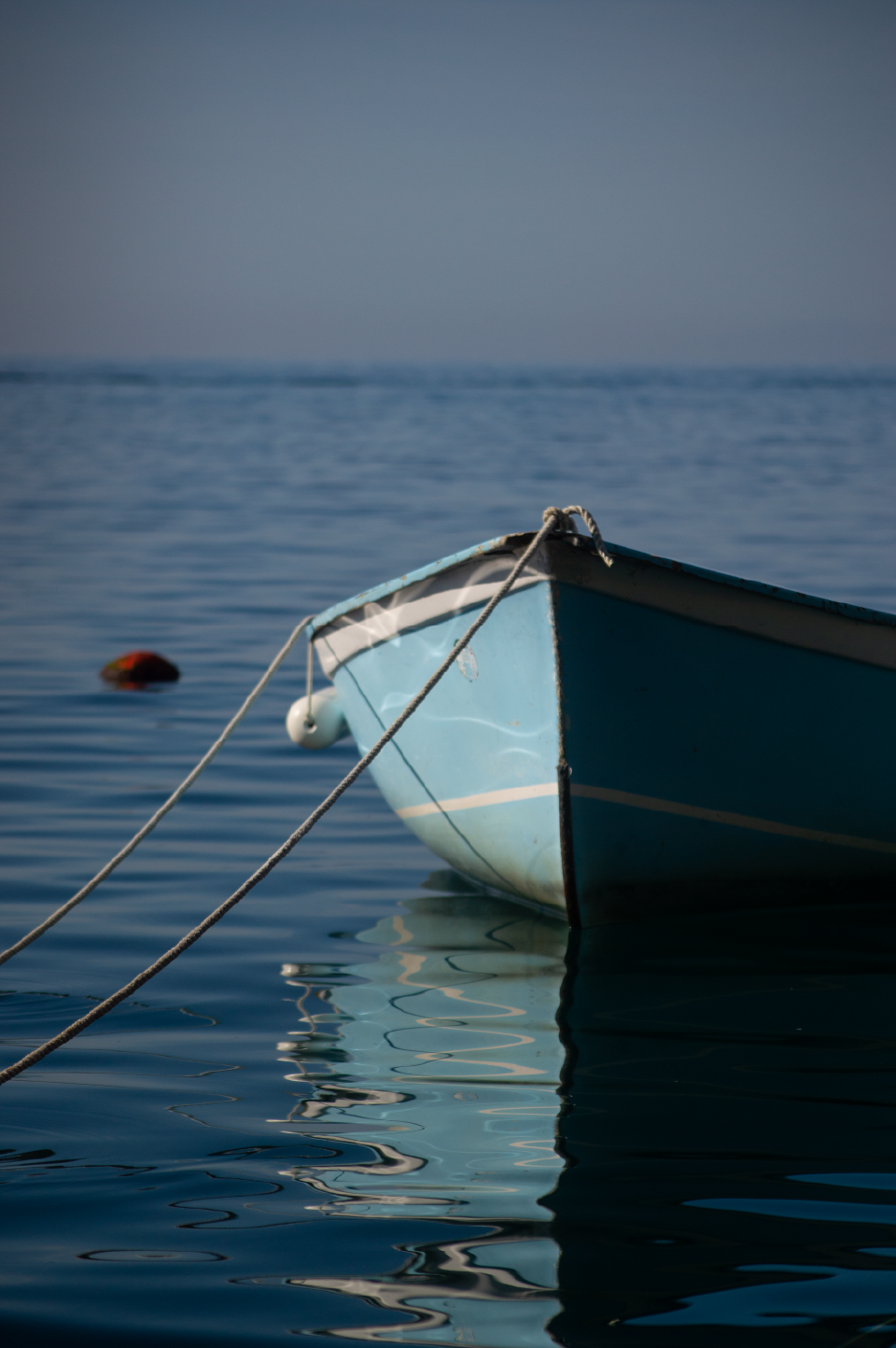 _DSC0449.png