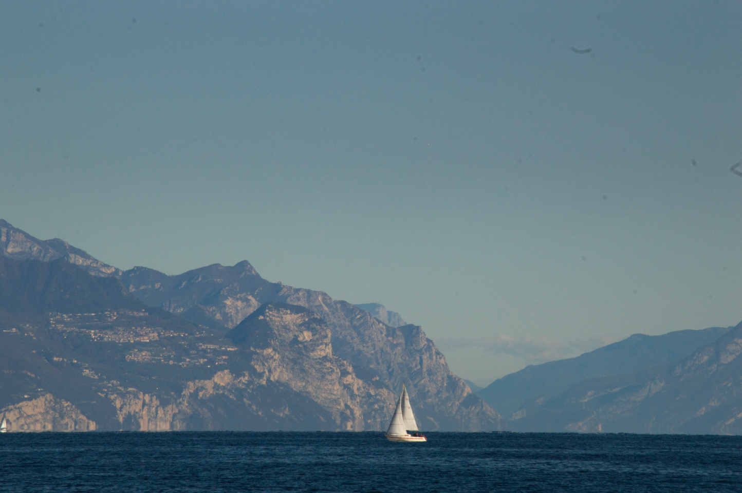 _DSC0845 3.png