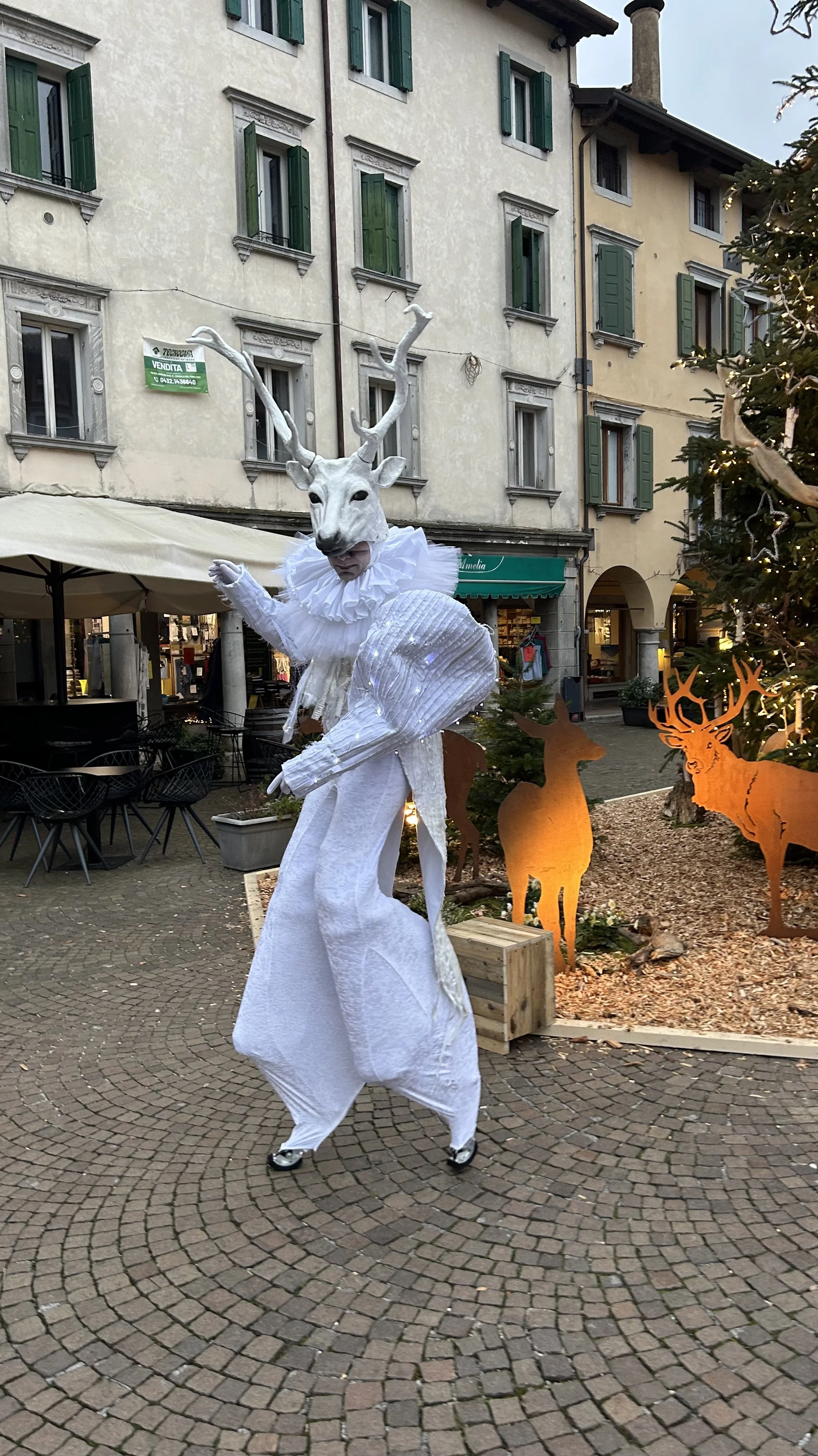 cervo1.jpeg