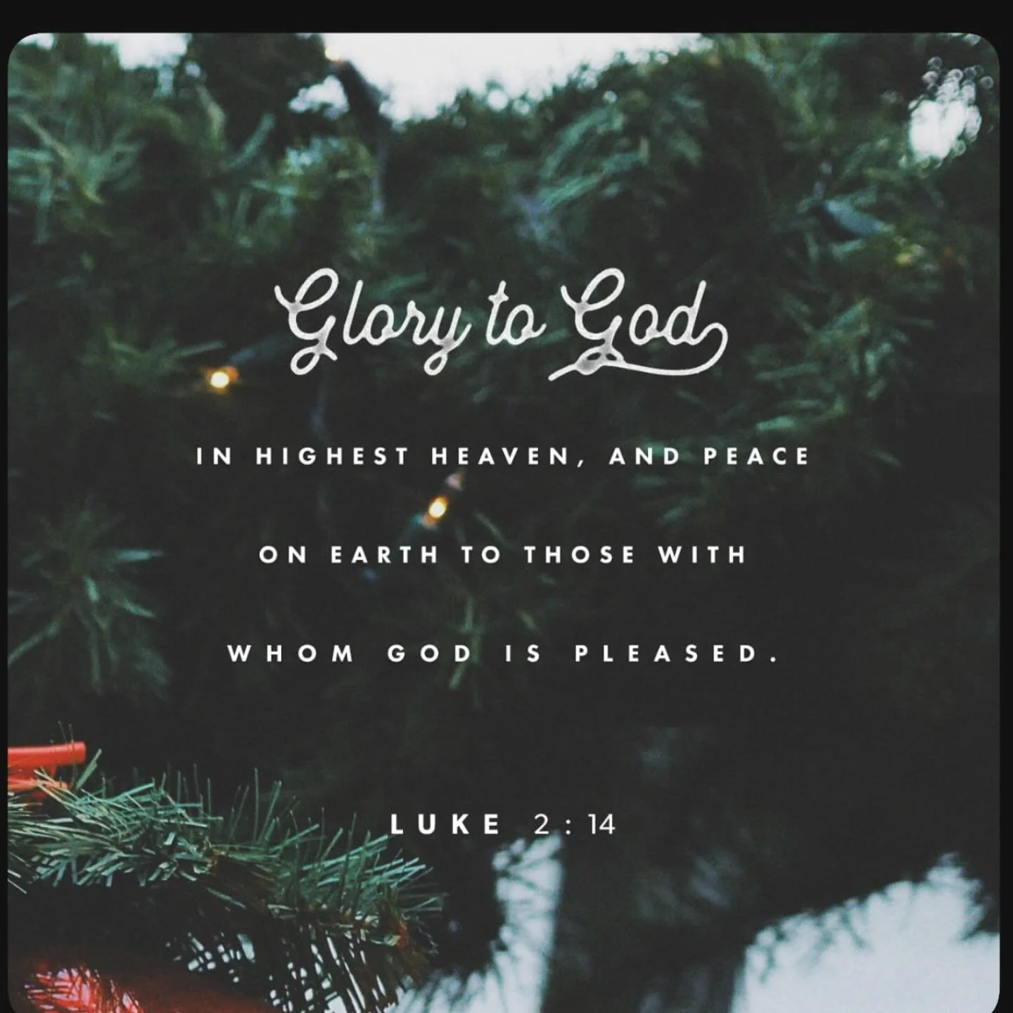 Merry Christmas ! Rejoice in the coming of our Savior!