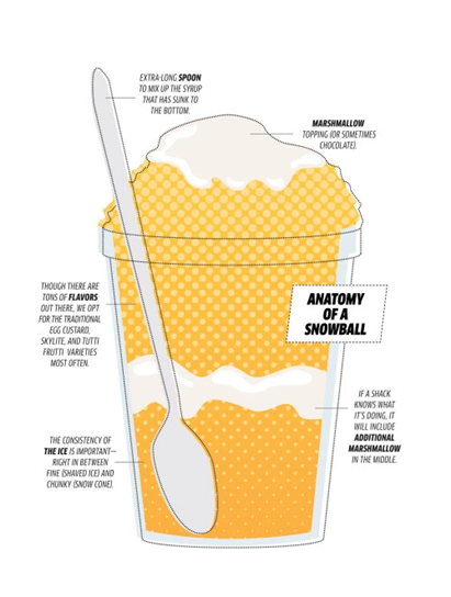 Maryland_Snowball_Anatomy.png