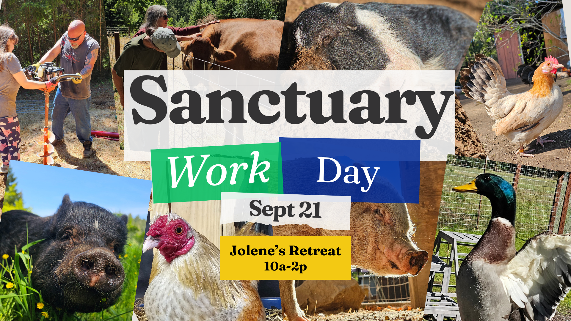 Sanctuary Workday