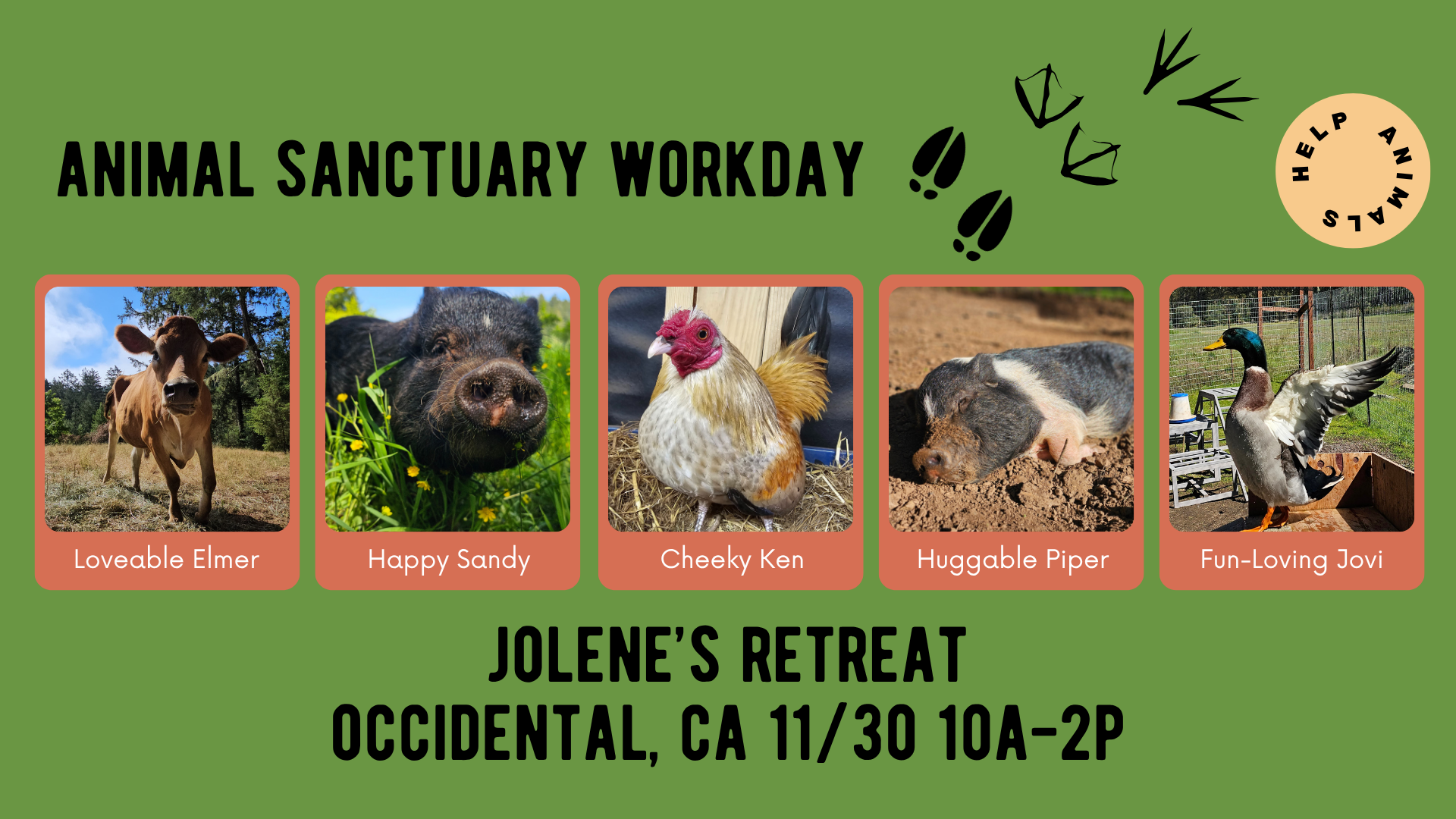 Sanctuary Workday