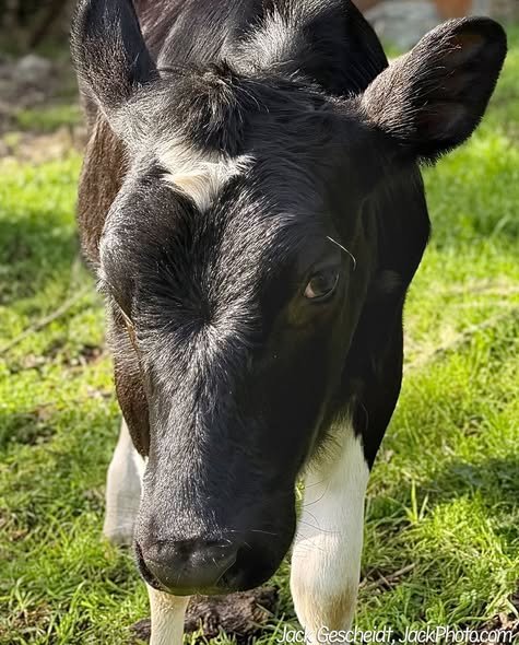 iPhone Photography Workshop