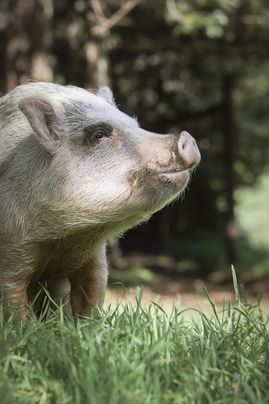 iPhone Photography Workshop