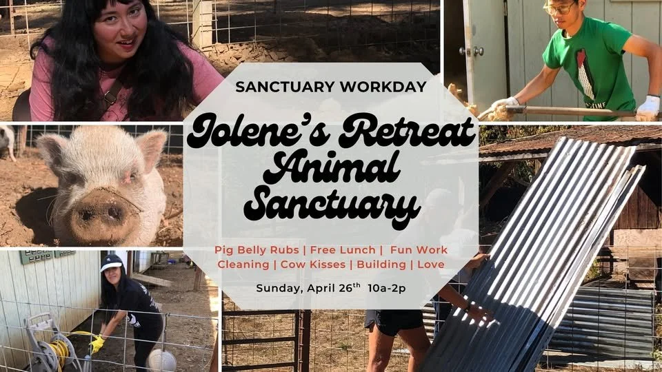 Sanctuary Workday